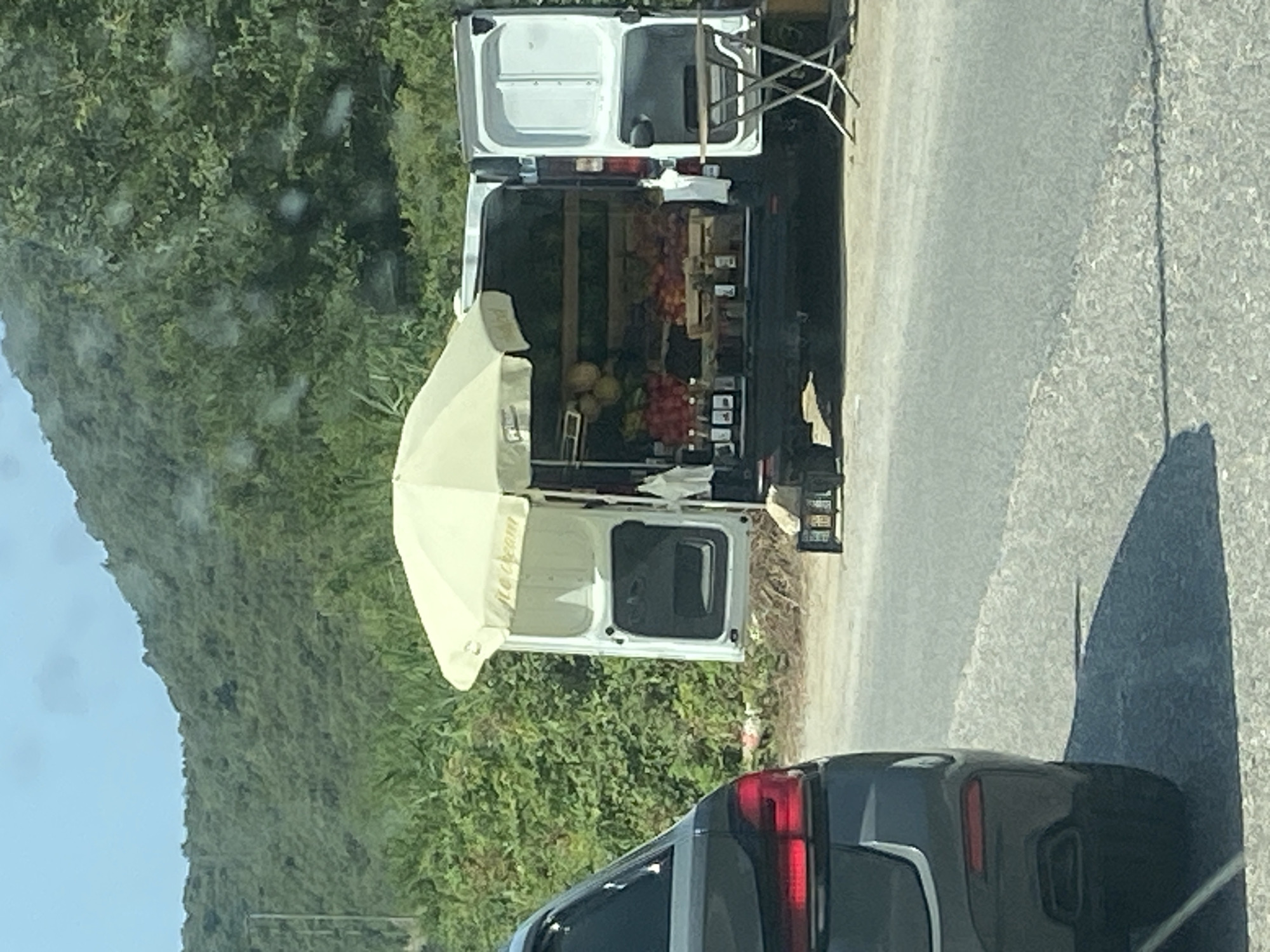 In Prijevor, Montenegro, a white van is parked on the side of a road, its rear doors open, displaying a variety of fruits and vegetables for sale. An umbrella, advertising "Ice Cream," is propped up over the open van. A small folding table and chairs are set up next to the van. The van is situated in front of a dense green hillside covered in vegetation. In the foreground, the rear of a dark-colored car is visible, casting a shadow on the asphalt road. The scene suggests an informal roadside market.