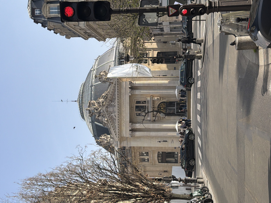 The image depicts an urban street scene in Paris, France, focused on the Bourse de Commerce building. The setting is a clear day, with direct sunlight casting shadows.
In the background, the Bourse de Commerce, a circular neoclassical building, features a large glass-and-metal dome, an ornate facade with columns, sculptural reliefs, and the inscription "BOURSE DE COMMERCE" above its main entrance. A large, dark, sculptural art installation resembling a bare tree stands in front of the primary entrance. A tall white banner or fabric hangs vertically from the building's facade to the right of the entrance. Approximately 15-20 individuals are gathered on the plaza directly in front of the Bourse de Commerce entrance.
The foreground shows a paved street intersection. Two traffic light poles are prominent on the right side, both displaying red signals. One traffic light is positioned higher, and a second, lower traffic light is visible on the same pole. A pedestrian crosswalk with white stripes is visible on the street surface. The rear of a dark vehicle is present in the extreme lower right corner. A dark SUV is positioned mid-frame, appearing to turn left from the foreground street towards the Bourse de Commerce. Another dark SUV is visible on the street further right, near the building.
On the left side of the street, several bare deciduous trees line the sidewalk, alongside parked motorbikes or scooters. A multi-story Parisian-style building with a mansard roof stands to the right of the Bourse de Commerce. A single individual is visible walking on the sidewalk near the traffic lights on the right. A dark bird is in flight in the sky above the Bourse de Commerce, and a pigeon rests on a concrete bollard in the lower right foreground.