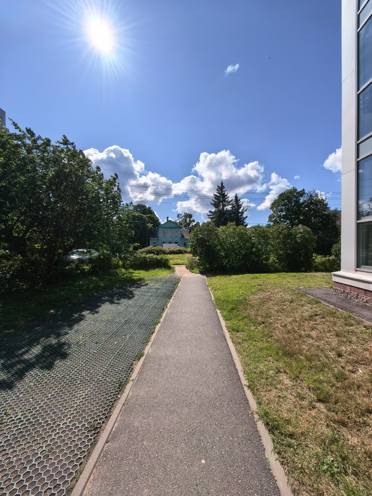 The image shows a paved pathway leading towards a light blue house in Sestroretsk, Russia. The pathway is bordered on the left by a green hexagonal grid system covering the ground, and on the right by a strip of dry, brown grass. Tall green trees and bushes line the background, with the light blue house situated in the distance. The sky is bright blue with fluffy white clouds and a bright sun, indicating a sunny day. A modern building with glass windows is visible on the right edge of the frame. There are no people visible in the image.