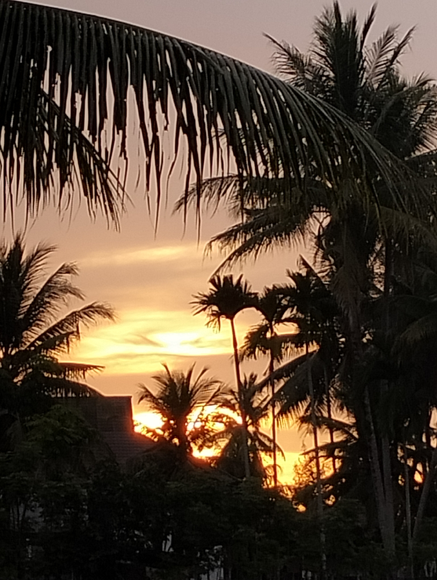 The image depicts a sunset viewed through palm trees, with a building partially visible. The sky is filled with hues of orange and yellow, indicating the sun is low on the horizon. Silhouetted palm fronds and trunks frame the view, with some leaves and branches obscuring parts of the sky and the structure. The building appears to be made of stone or concrete, with a dark roof. The overall scene is one of a tropical environment during twilight. The image does not provide specific clues to pinpoint the exact location within Meunasahalue, Indonesia.