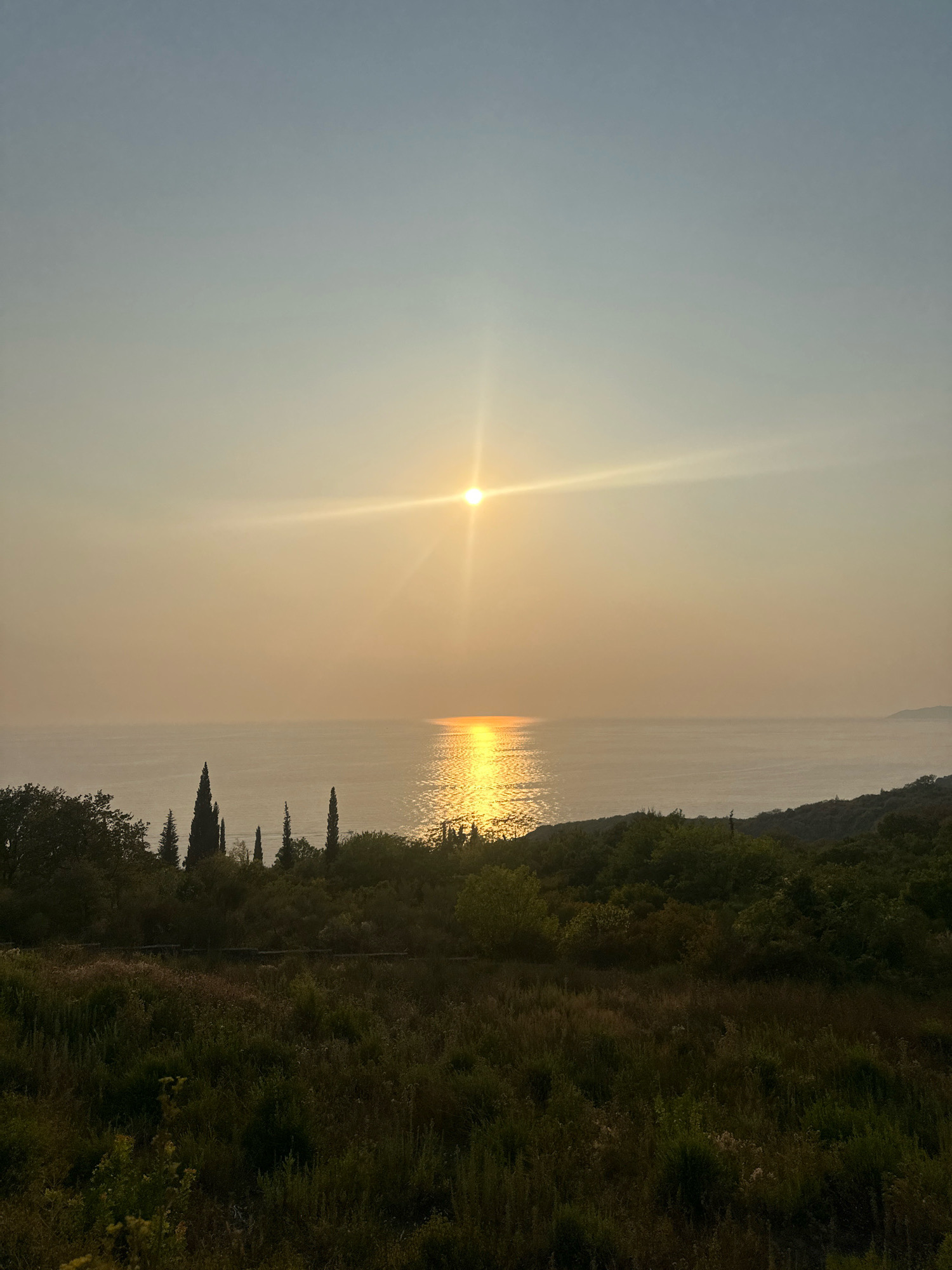 This is an image of a sunset over the Adriatic Sea, as viewed from the hills of Drobnići, Montenegro. The sun is low in the sky, casting a warm, golden light across the water. The sea is calm, with gentle waves reflecting the sunlight. In the foreground, there is a lush green hillside covered with trees and vegetation. The sky is a soft gradient of blue and yellow, with a few wispy clouds. The overall scene is serene and picturesque, evoking a sense of peace and tranquility.