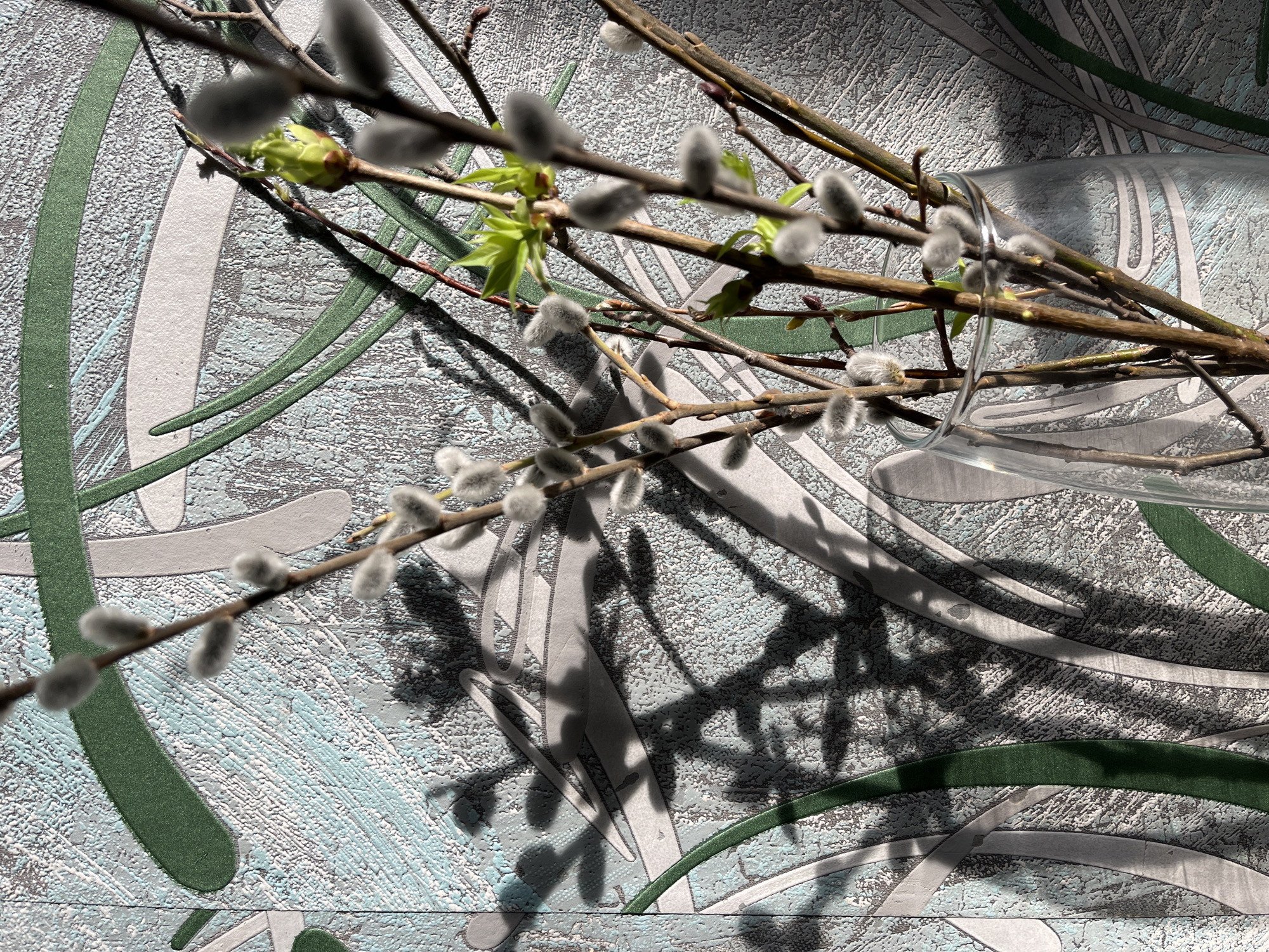 This image, taken in Chaikovsky, Russia, depicts an indoor still life arrangement. The central subject is a clear glass vase, partially visible in the lower right, containing a bouquet of deciduous branches. The branches primarily consist of pussy willows, characterized by numerous light grey, fuzzy catkins, interspersed with other branches displaying small, vibrant green unfurling leaves and leaf buds. The background is a wall covered in textured wallpaper featuring an abstract pattern of broad, curvilinear shapes in dark green and light grey/white against a mottled blue-grey and white granular surface. Strong, directional sunlight, originating from the left, casts distinct, dark shadows of the branches and their catkins onto the wallpaper, particularly prominent in the upper-left and central portions of the frame. No individuals are present in the scene.