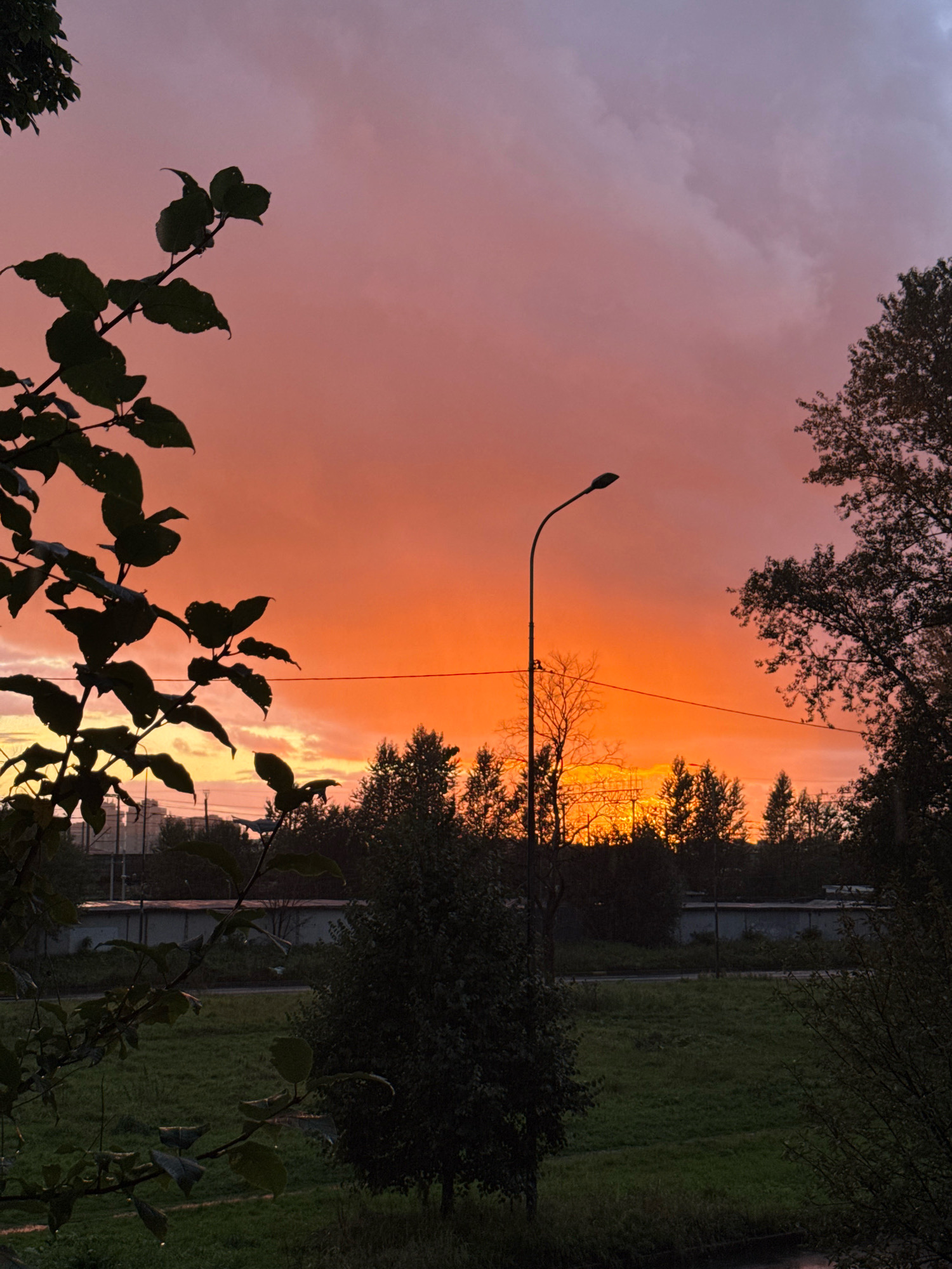 The image captures a vibrant sunset over a suburban landscape, likely in Saint Petersburg, Russia, given the distinct architecture and vegetation. Silhouetted against a gradient sky of fiery orange and soft purple, a lone street lamp stands tall. The foreground is dominated by the dark silhouettes of leafy branches, suggesting the perspective is from a window or balcony. Beyond these, a grassy field stretches out, bordered by trees and a low-lying building complex, possibly industrial or residential, with a fence running along its front. The overall impression is one of twilight tranquility.