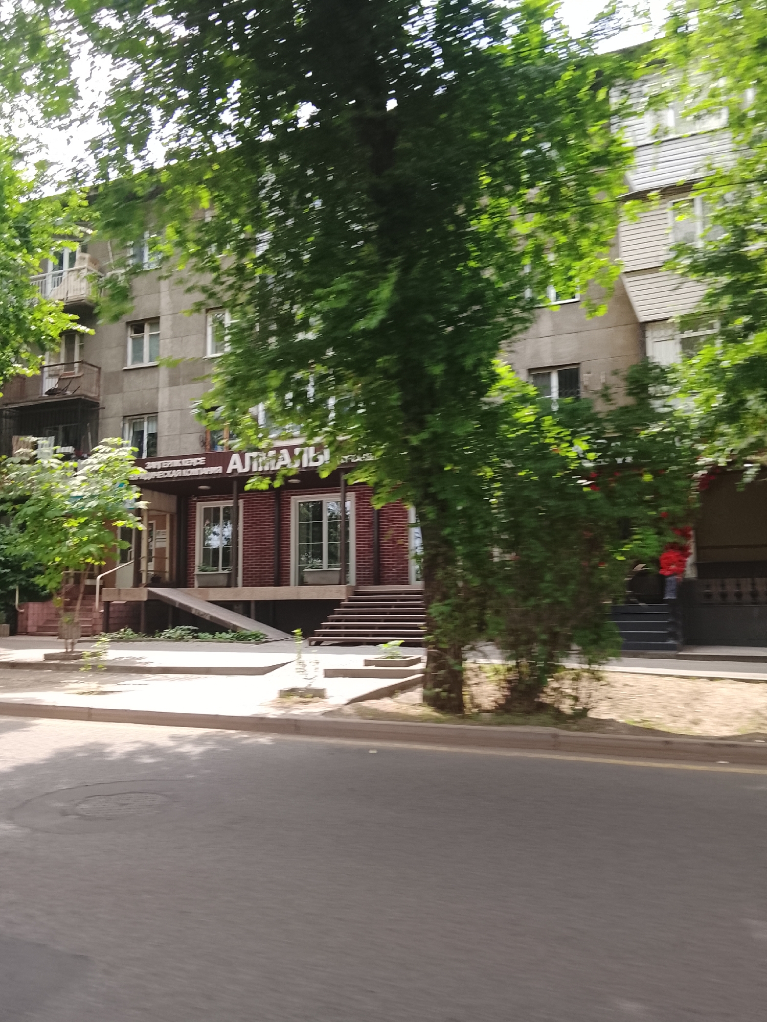 The image shows a street view in Almaty, Kazakhstan, on a sunny day. A multi-story building with a brick facade on the ground floor dominates the scene. Above the brick section, the building is a grey concrete structure with multiple windows. A sign on the building reads "АЛМАТЫ" (Almaty) in large white letters, indicating the location. There is a ramp and stairs leading to the entrance of the building. Mature trees with lush green foliage partially obscure the building. The foreground features an asphalt road with a manhole cover. The overall impression is of a typical urban streetscape in Almaty.