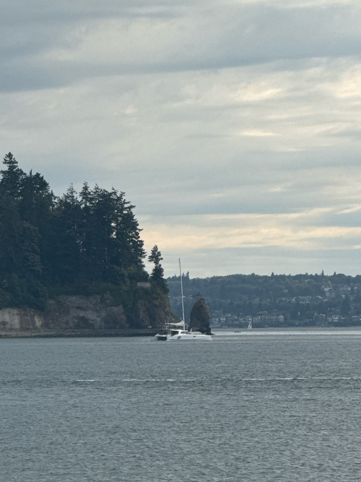 The image depicts a waterfront scene with a rocky, tree-covered island in the foreground to the left. A white catamaran is sailing on the choppy, gray water to the right of the island. In the background, a densely forested hillside with buildings is visible, suggesting a city or town. The sky is overcast with pale gray clouds. The overall impression is a serene, natural landscape meeting a populated area.
