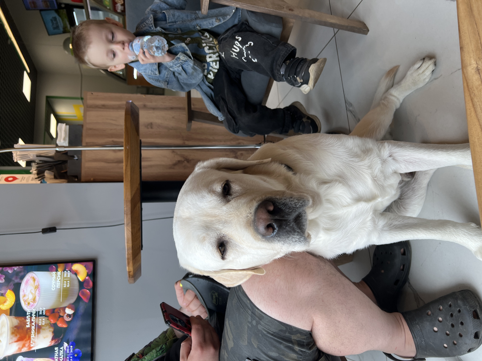 A boy is drinking from a water bottle while sitting in a chair. A Labrador dog is lying down and resting its head on the lap of a person wearing camouflage shorts and black Crocs. The person is holding a red mobile phone. A menu board displaying milkshakes and prices in Russian is visible in the background. This image was taken indoors at a cafe or restaurant in Mytishchi, Russia. The boy's pants have the word "HUGS" written on them.