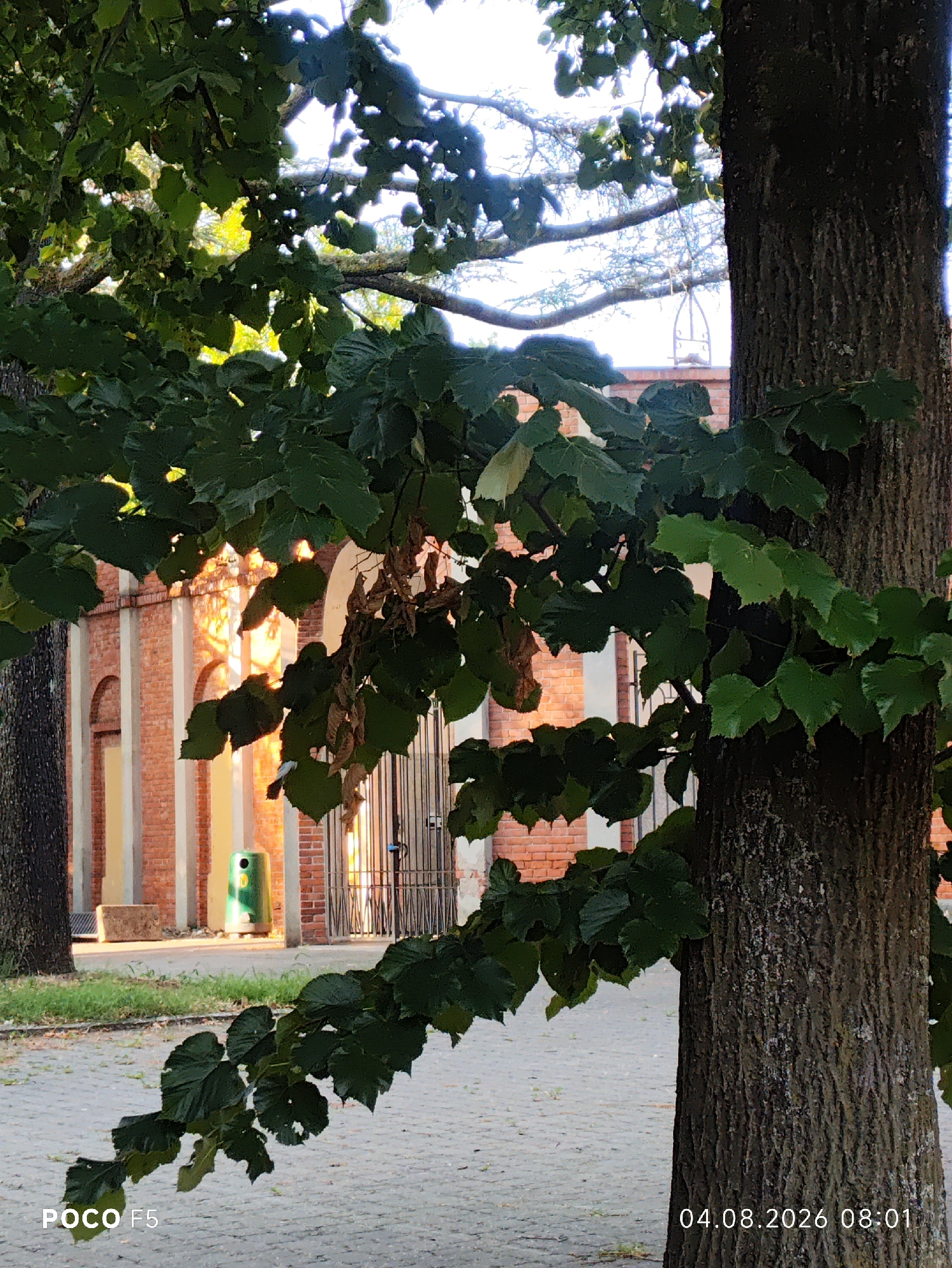 In the city of Collecchio, Italy, a tree with a textured bark trunk stands in the foreground, its branches laden with dark green leaves partially obscuring a brick building with arched openings and vertical white pilasters. Sunlight casts a warm glow on the facade of the building. To the left of the building, a green trash receptacle is visible. The ground is paved with interlocking gray bricks, and a patch of green grass is present to the left. The scene is captured in daylight, with the time and date "04.08.2026 08:01" overlaid on the bottom right of the image. The bottom left corner displays "POCO F5".