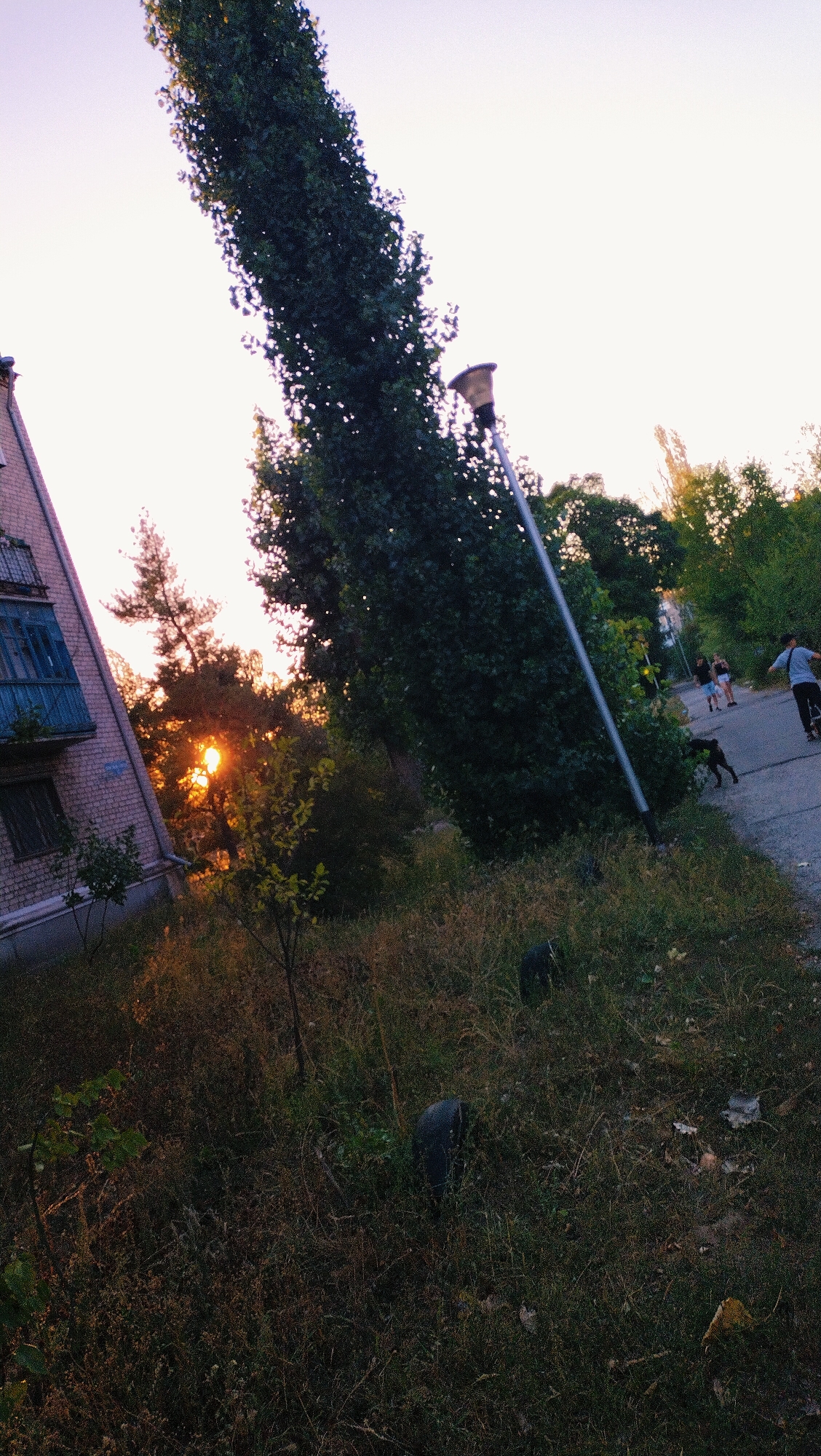 The image depicts an outdoor scene in Horishni Plavni, Ukraine, featuring a tall, slender tree dominating the left side of the frame, leaning at an angle. In the background, a brick building with a blue-accented balcony is partially visible on the far left. The setting sun casts a warm glow through the trees on the right side of the image, creating a warm and slightly hazy atmosphere. A modern street lamp stands vertically on the right, its light fixture visible at the top. A paved path runs horizontally across the middle ground, where several figures are present. A person on a scooter is moving away from the viewer, and a dog walks near them. Further in the background, a group of three people are walking. The foreground is covered in dense, overgrown grass and foliage, with a few discarded tires partially visible. The sky is clear and a light, pale color, indicating either early morning or late evening.