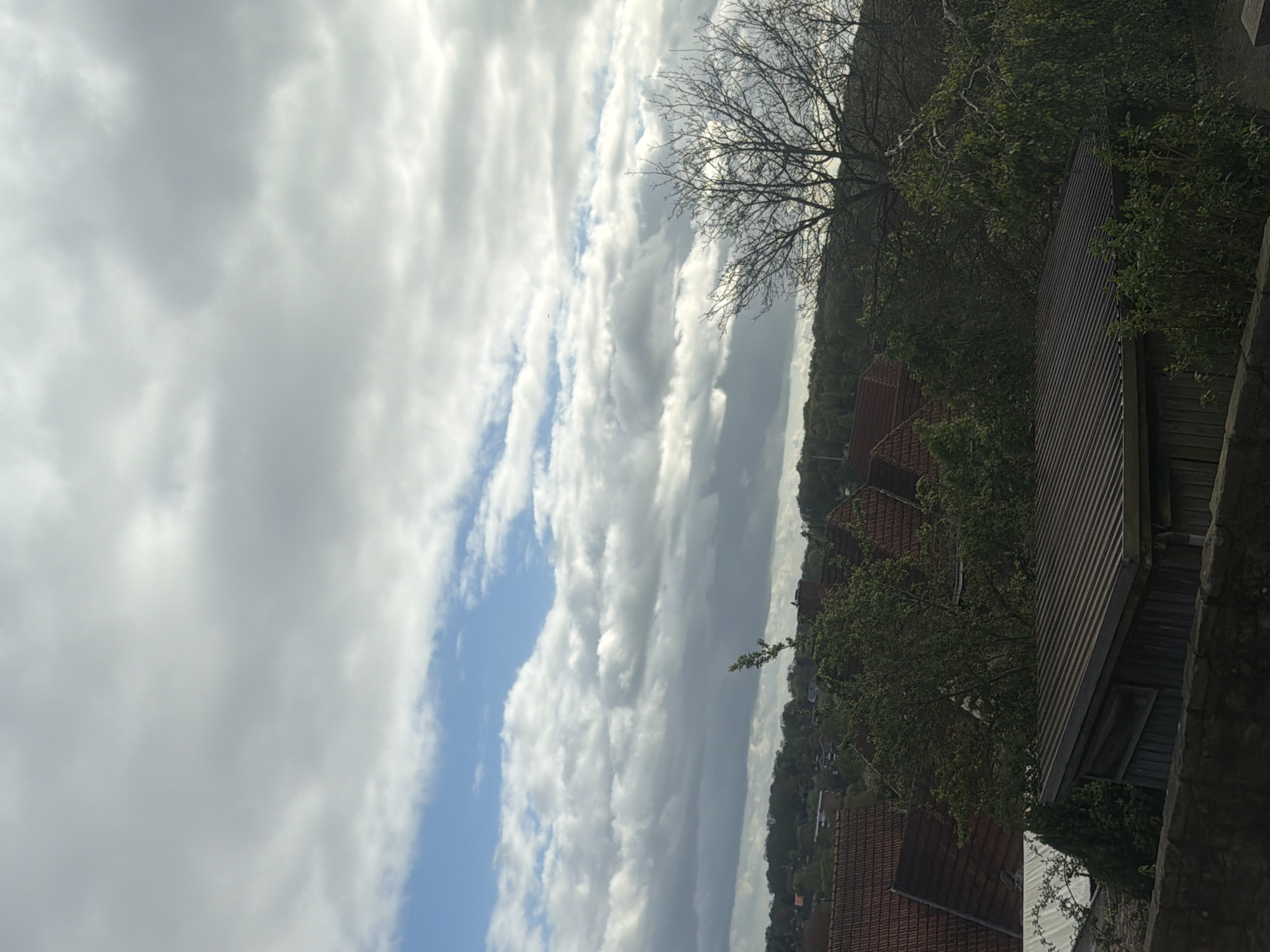 The image shows a view of the sky and a portion of Bad Bentheim, Germany. The sky is filled with clouds in shades of gray and white, with patches of blue sky visible. A leafless tree is silhouetted against the sky. Below the tree, the tops of houses with red tile roofs are visible. A dark shed or building with corrugated metal siding is in the foreground, near what appears to be a stone wall. The overall scene is a combination of natural and built elements in the Bad Bentheim landscape.