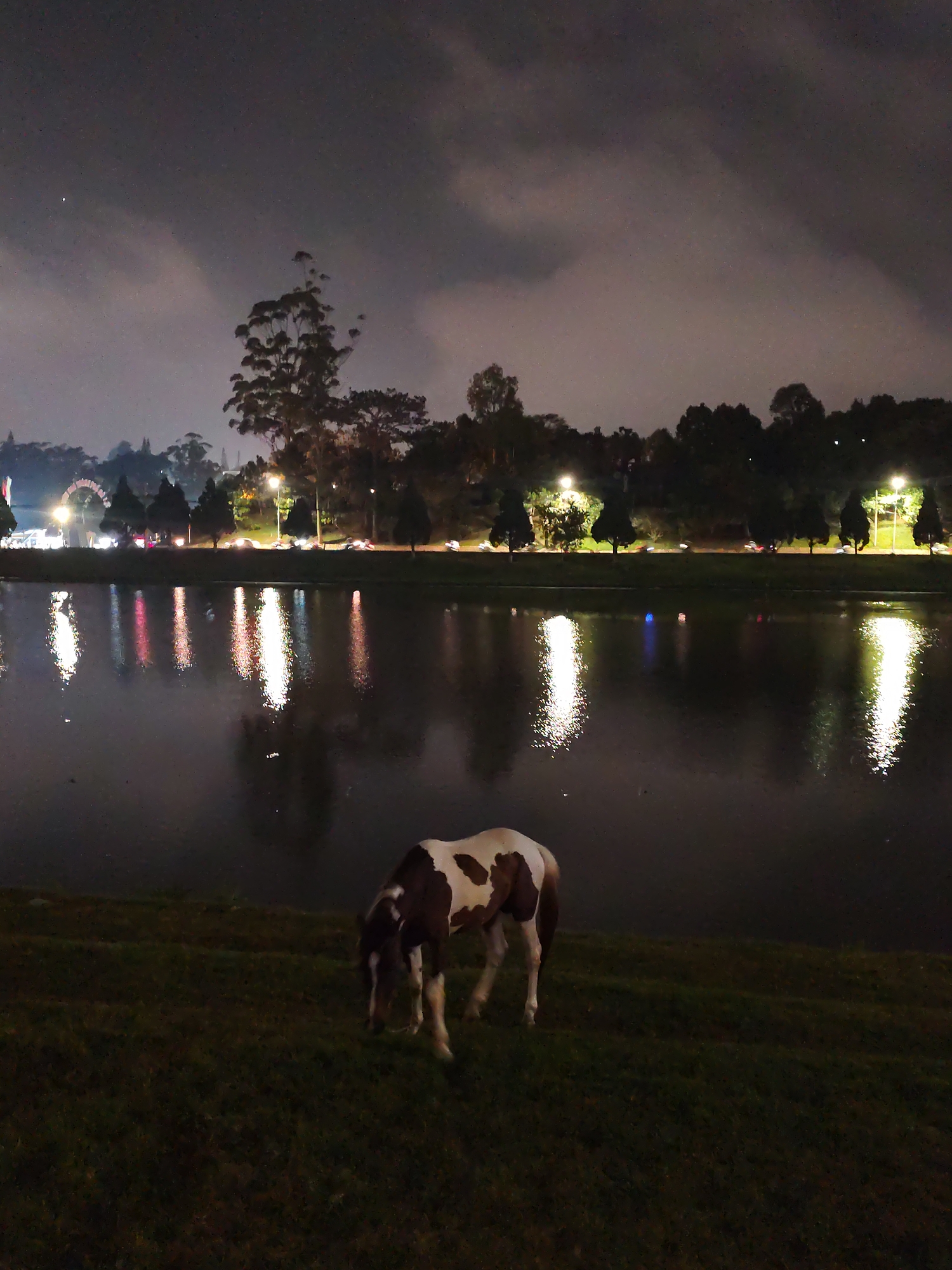 A piebald pony grazes on a grassy bank in front of Xuan Huong Lake in Da Lat, Vietnam, at night. The lake reflects blurred white lights from a distant roadside. Trees and buildings, including a Ferris wheel, line the far side of the lake. The dark sky is overcast with clouds.