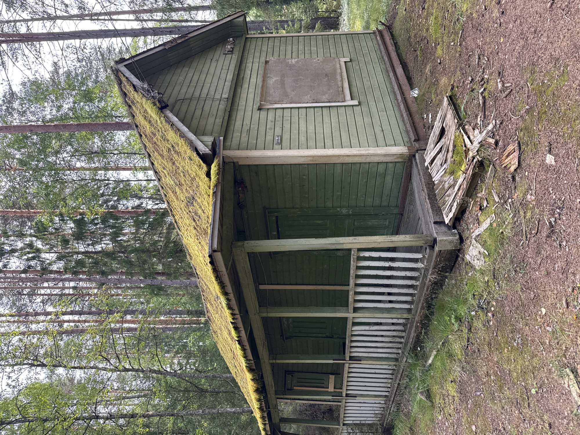 The image depicts an abandoned, weathered, green wooden cabin situated in a densely wooded area, characteristic of the rural outskirts of Ikhala, Russia. The cabin, with its moss-covered roof, suggests prolonged neglect and exposure to the elements. A dilapidated porch with a white picket railing extends across the front, featuring multiple doorways and a boarded-up window on the side. The ground around the cabin is covered in pine needles, fallen leaves, and patches of grass, indicating a natural, unkempt environment. The surrounding tall pine trees contribute to the scene's remote and desolate atmosphere. There are no people present in the image, and no discernible actions or interactions are taking place. The overall impression is one of decay and isolation within a natural landscape.