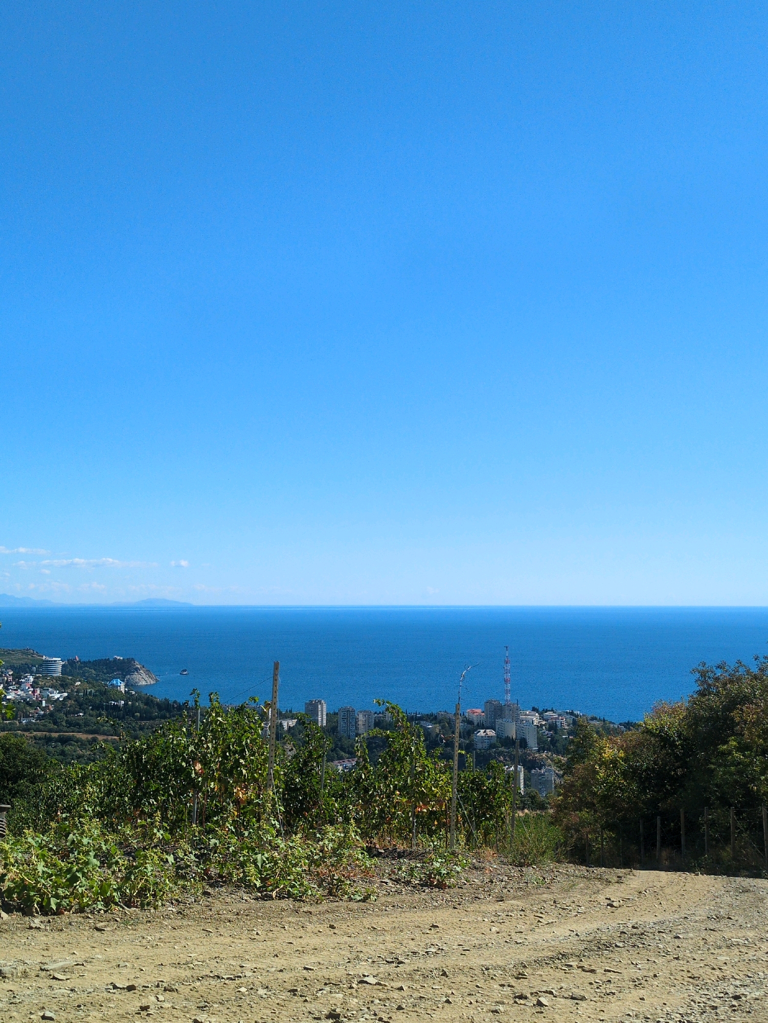 A high-angle, full outdoor shot depicts a scenic view of the sea from a hillside, with a dirt path in the foreground and a town and vegetation in the midground. The sky is a clear, bright blue, occupying the upper half of the frame. The sea is a deep, calm blue and stretches to the horizon. In the midground, a town with white and light-colored buildings is nestled on the coast. Lush green vegetation, including trees and what appears to be a vineyard with trellises and leafy vines, covers the hillside. A dirt path winds through the foreground, leading the eye towards the town and sea. The overall scene suggests a sunny, possibly summer day with a serene coastal landscape.