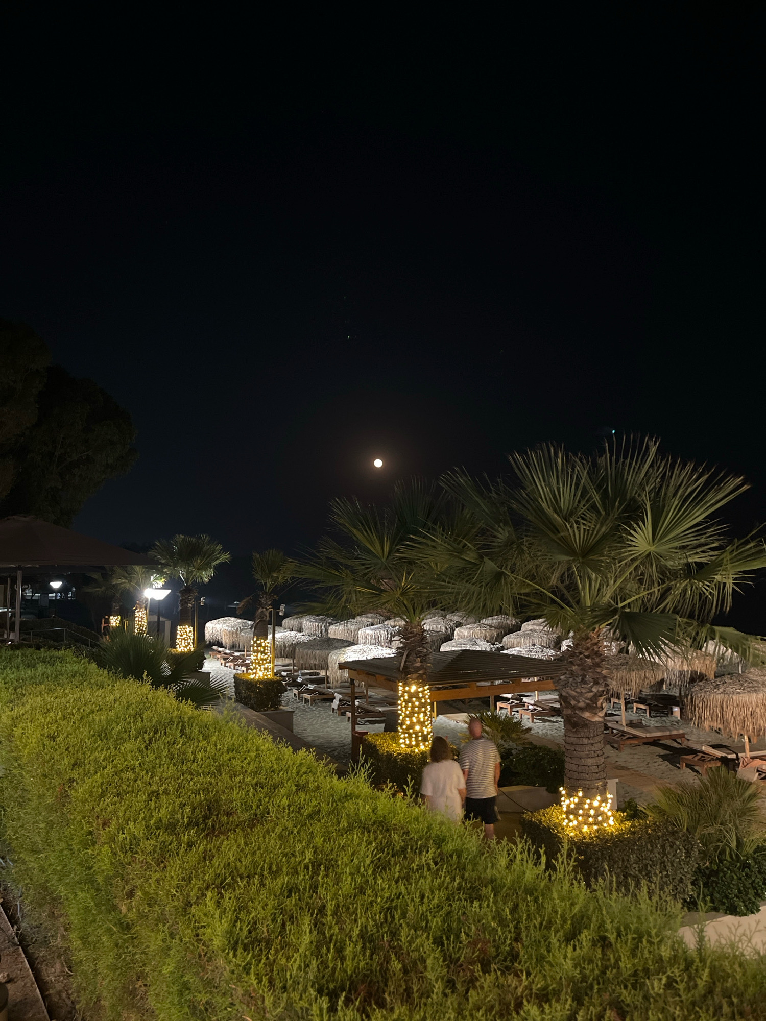 The image depicts a night scene at a beach resort in Agios Tychona Community, Cyprus. A full moon hangs in the dark sky, illuminating a tropical beach setting. In the foreground, a neatly trimmed green hedge lines a pathway. Beyond the hedge, palm trees stand tall, some adorned with festive string lights that cast a warm glow. Beach umbrellas, made of straw, are arranged on the sand, with lounge chairs beneath them. Two individuals, a man and a woman, are walking away from the camera, their backs to the viewer, on a path between the decorated palm trees and the beach. The overall atmosphere is tranquil and inviting, suggestive of a peaceful evening by the sea.