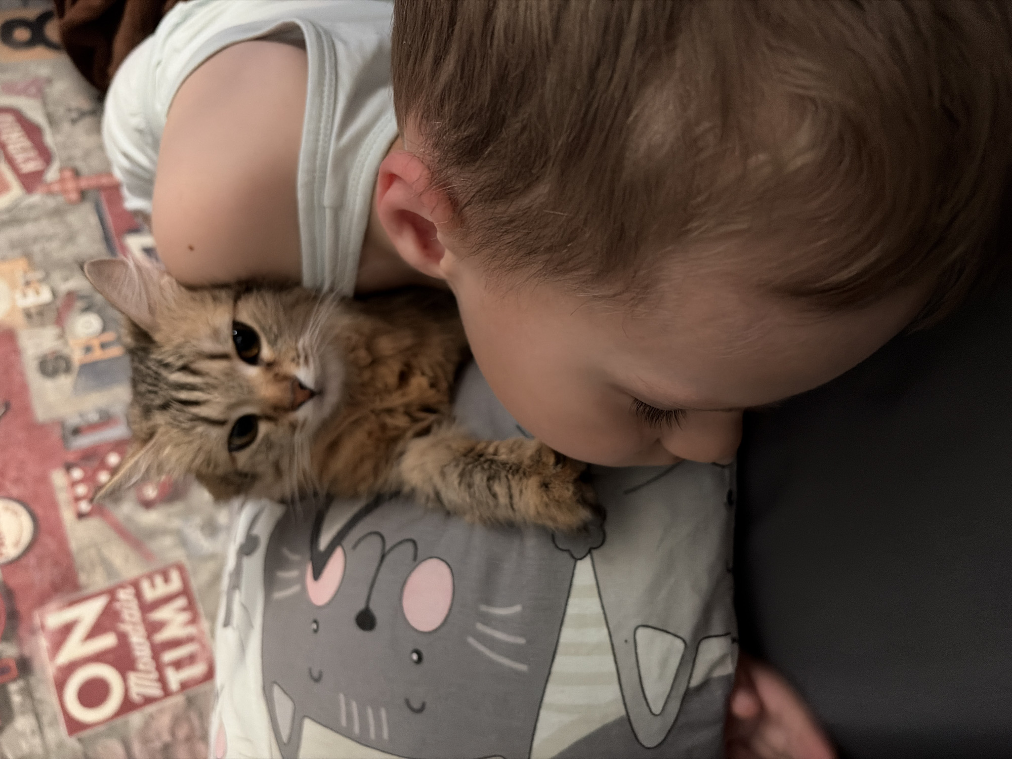 A child and a cat are resting on a pillow with a cartoon cat design. The pillow rests on a bed with a patterned comforter. The child's head is close to the cat. The location is the city of Chaikovsky, Russia.