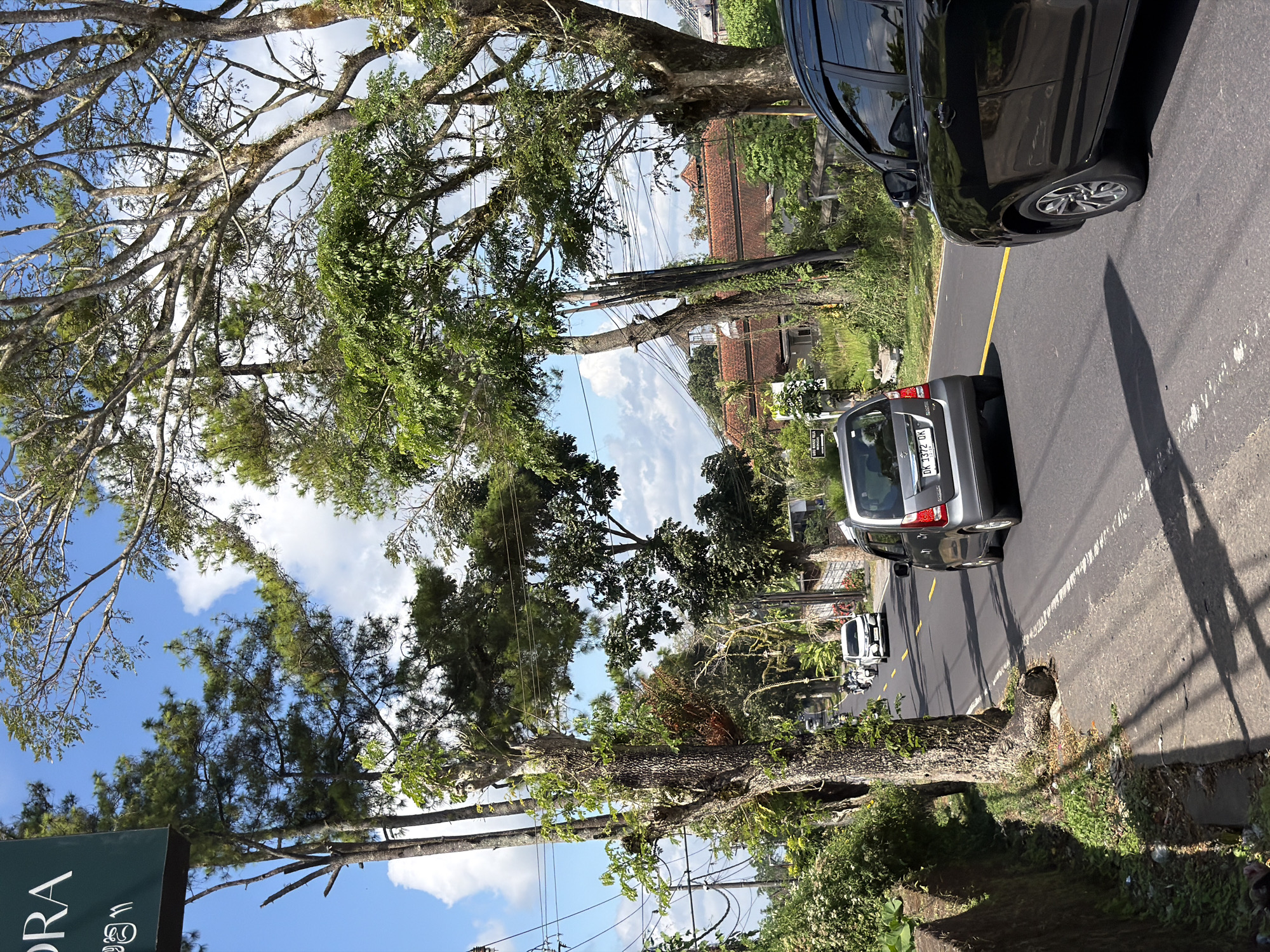 The image captures a view from a street in Baturiti, Indonesia. A paved road with a yellow lane divider runs through a lush green environment characterized by large trees with prominent branches, some with vines growing on them. On the left side of the road, there is a small concrete ditch and overgrown vegetation. Several vehicles are present on the road. In the foreground, a black car is partially visible on the right, and a silver hatchback is further down the road. Further in the distance, a group of motorcycles is traveling away from the camera, followed by a white car. Buildings with red-tiled roofs are visible behind the trees on the right side of the road, suggesting a residential or commercial area. The sky is blue with scattered white clouds, and the overall lighting indicates a daytime scene with sunlight casting shadows on the road. A dark green sign with white text, possibly a building name or advertisement, is visible in the upper left corner of the image, partially obscured by trees.