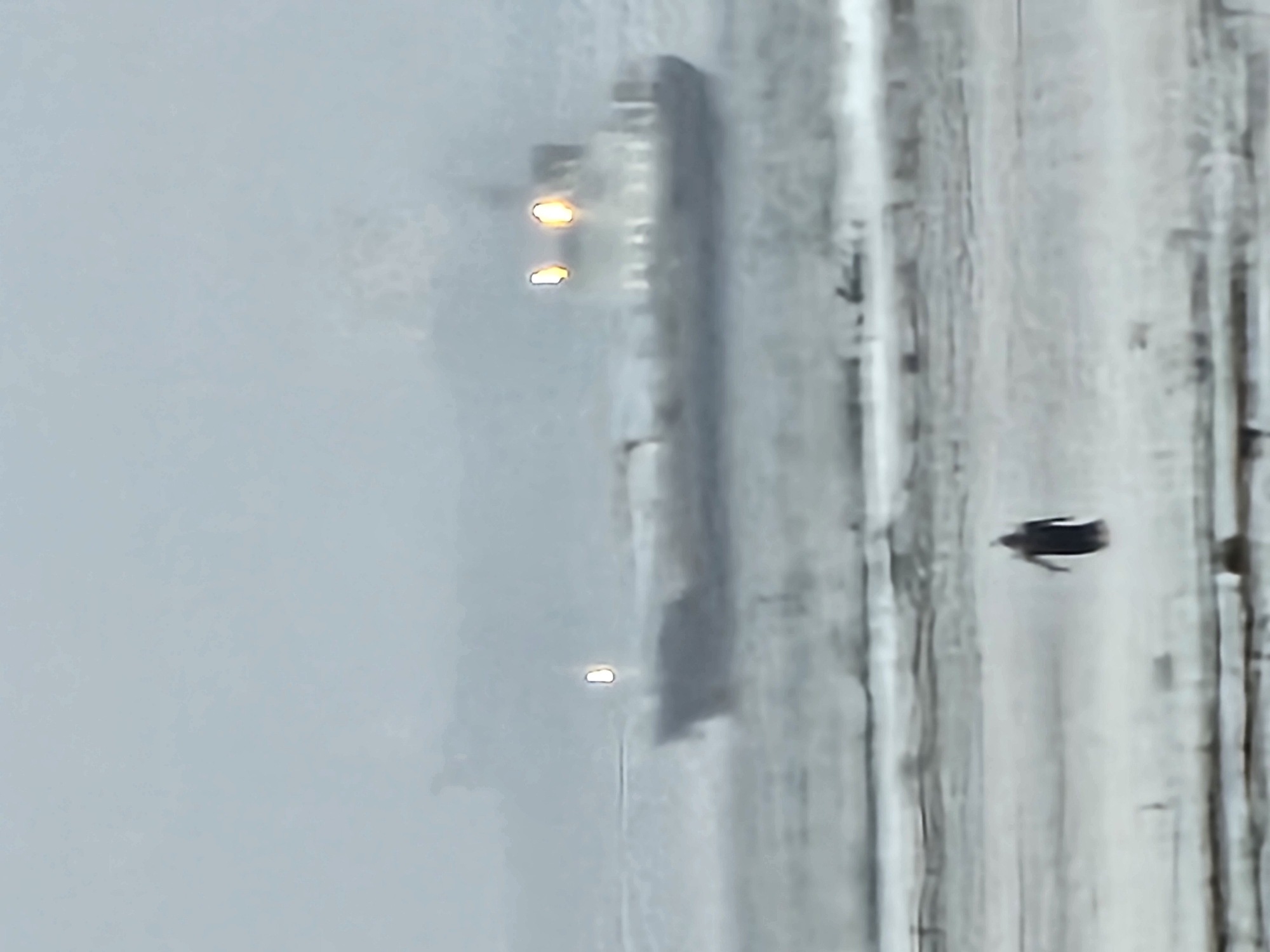 The media file shows an aerial view of a road covered in snow. A long, dark object, likely a train or a large vehicle, is moving along the road. It has several illuminated lights, appearing yellow or orange. To the right of the road, a dark, silhouetted figure, possibly a person or an animal, is visible. The surrounding environment is a bleak, overcast landscape with visible snow accumulation. The lighting suggests it is daytime, but the weather appears to be cold and possibly foggy or snowy, creating a muted, grey atmosphere. The textures of the road and the surroundings are rough and uneven, indicative of winter conditions. There is no visible text in the image. The overall scene conveys a sense of isolation and a harsh, wintry environment.