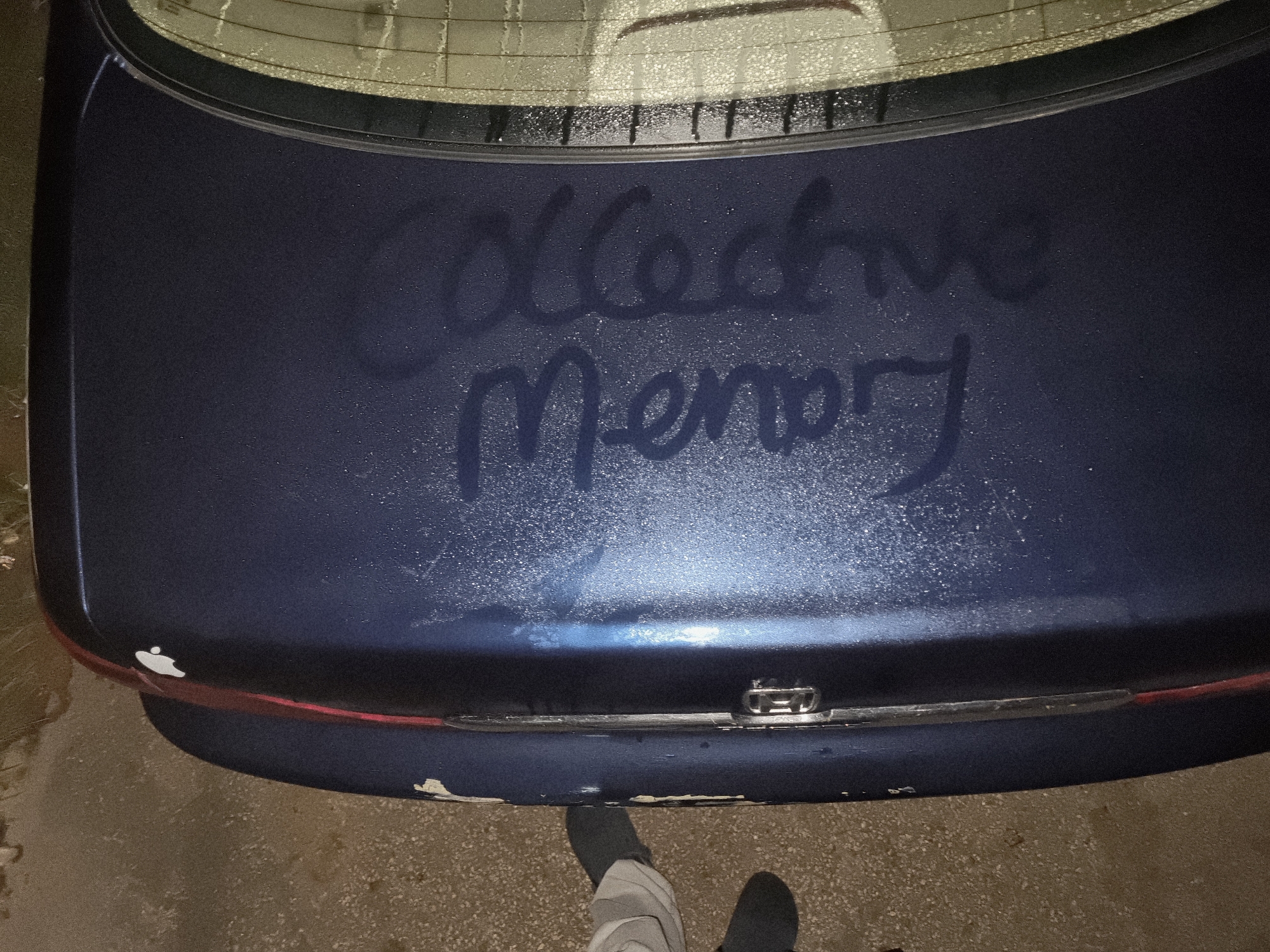 Memory