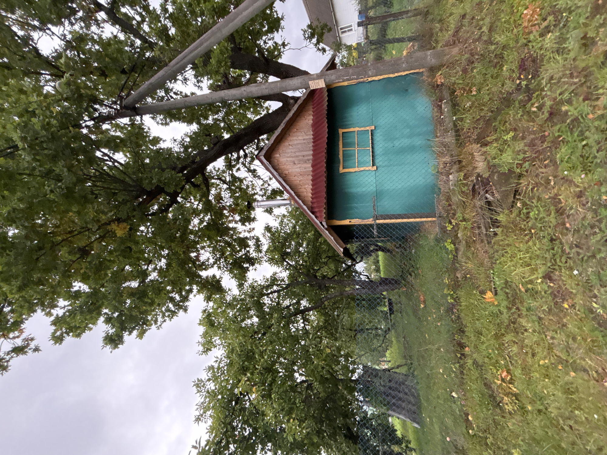 An eye-level, medium outdoor shot captures a small, turquoise wooden shed in Rakovno, Russia. The shed has a red corrugated metal roof and a wooden gable. A single, small, yellow-trimmed window is visible on the shed's facade, and a metal chimney protrudes from the roof. The shed is situated within a grassy yard, partially enclosed by a chain-link fence. Large trees with green foliage, some showing signs of autumn with scattered fallen leaves, dominate the background. Two utility poles with visible wires are positioned to the right of the shed, partially obscuring the view of the trees. In the distance, a white house with a dark roof can be seen. The sky is overcast.
