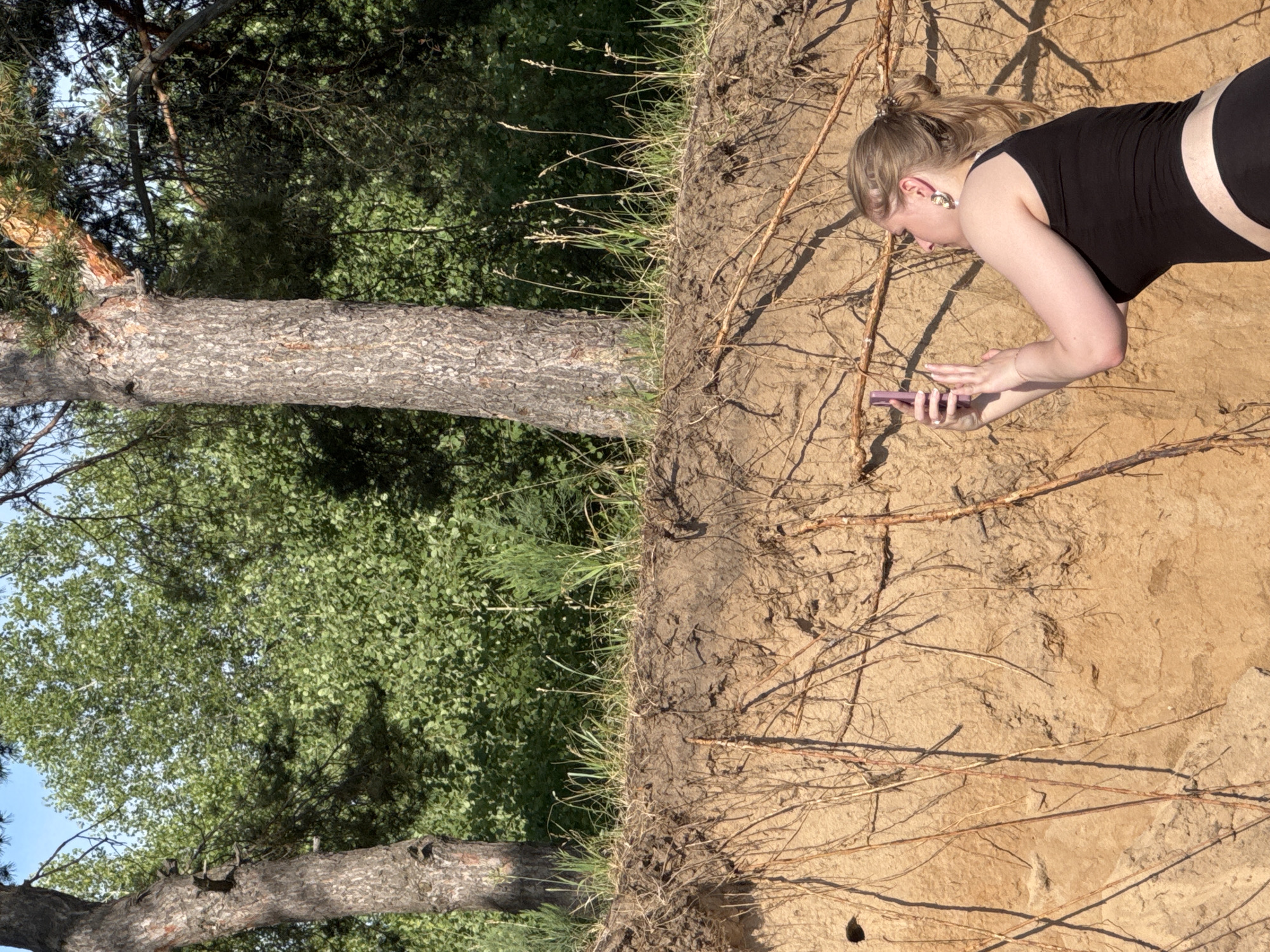 A woman, positioned on the right side of the frame, is leaning forward and looking down at a pink cell phone she holds in her hands. She is wearing a black tank top and black shorts. Her hair is pulled up in a bun. She is wearing large gold earrings. The woman is on a sandy bank with exposed roots from trees. To the left of the bank is a lush green forest with the trunks and branches of trees visible. The sun appears to be shining, casting shadows on the sandy bank, suggesting it is daytime. The scene depicts a moment of quiet contemplation or engagement with technology amidst a natural, outdoor setting. The overall mood is relaxed and informal.