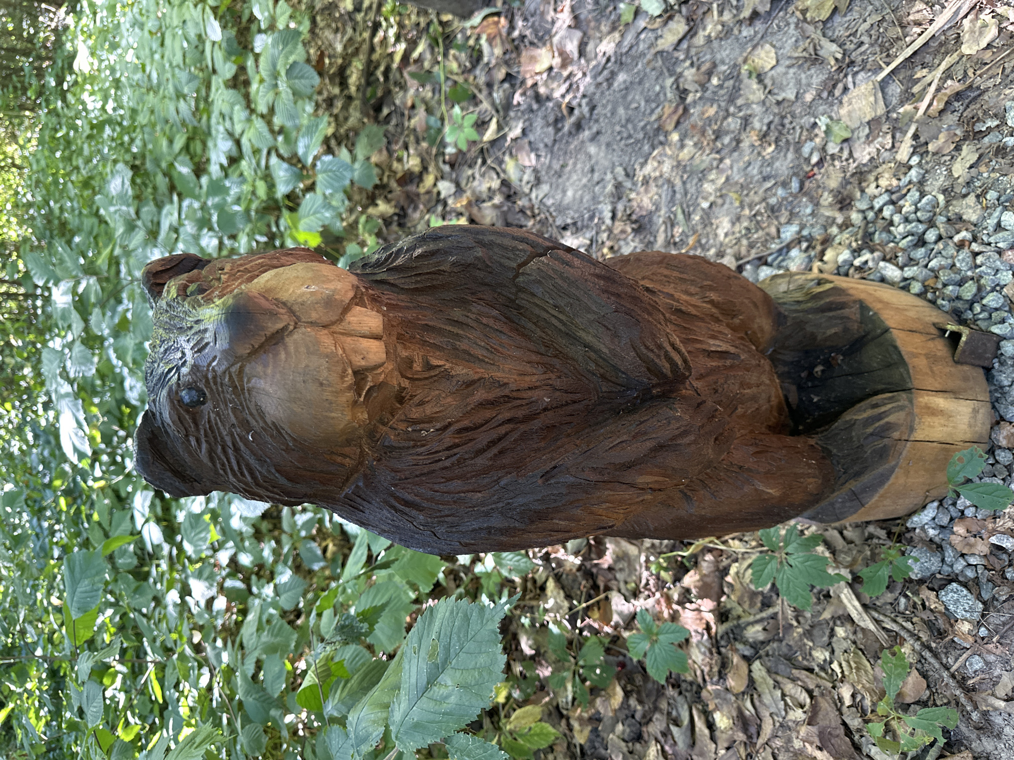 A wooden sculpture of a beaver stands upright on a circular wooden base. The beaver is carved to appear furry and has two large front teeth. It is positioned in a forest setting, with lush green foliage and fallen leaves surrounding it. The ground is covered with a mix of dirt, small stones, and leaves. Sunlight filters through the trees, casting dappled shadows on the scene.