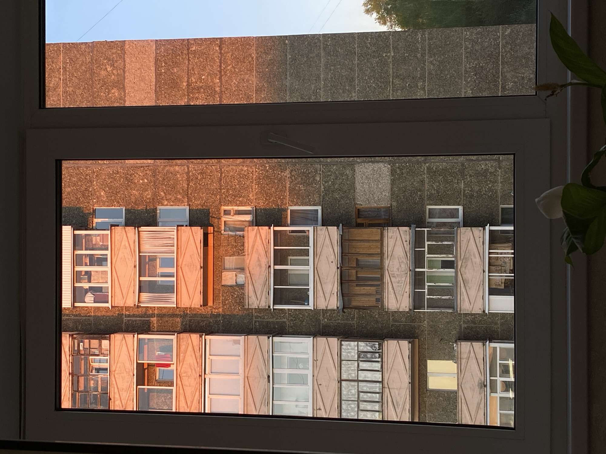 The image shows a view from inside a room, looking out through a white-framed window. The window offers a direct view of a multi-story building across from the viewer, which appears to be a residential structure. The exterior of this building is characterized by a rough, concrete facade with vertical, rectangular divisions. The windows of the building are the focal point, featuring light-colored wooden shutters, some open and some closed, creating a varied pattern. The reflection of sunlight on the building's facade gives it a warm, orange hue, contrasting with the shaded areas. Part of another building and the sky are visible above and behind the primary building. A potted plant with a white flower is visible in the right corner of the image. The scene has a natural light quality, suggesting the photo was taken during the day. Based on common architectural styles and urban planning patterns, this image likely represents a typical residential area in a city such as Votkinsk, Russia, where similar building designs are common. The exact location within Votkinsk is not discernible from the image.