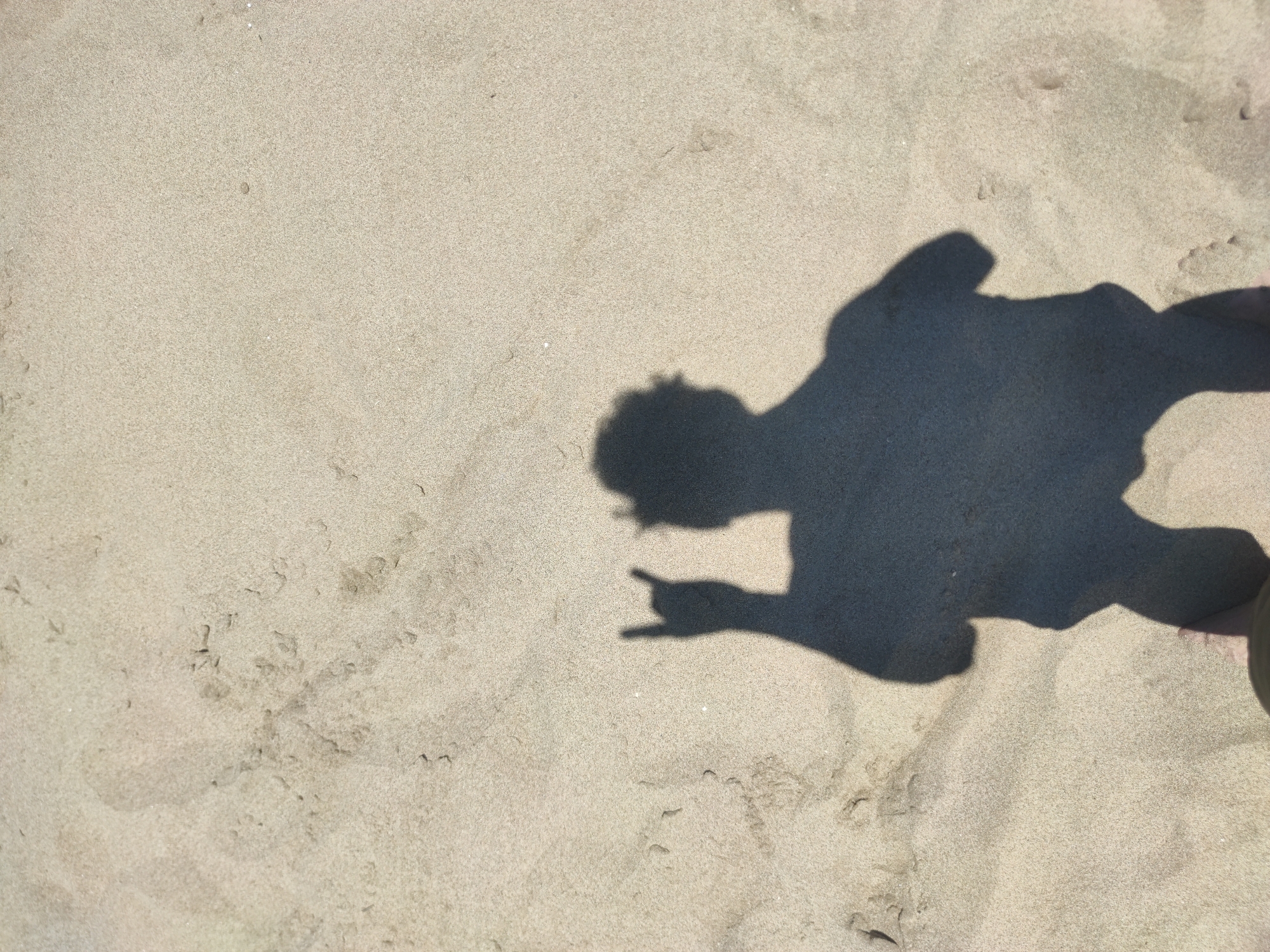 The image depicts a sandy surface, most likely a beach, with the shadow of a person cast upon it. The shadow suggests the person is standing with one arm extended, making a "rock on" or "devil horns" hand gesture. The sand is light-colored and textured. Based on the request for the location in Castelldefels, Spain, it is highly probable that the image was taken on the beach of Castelldefels.