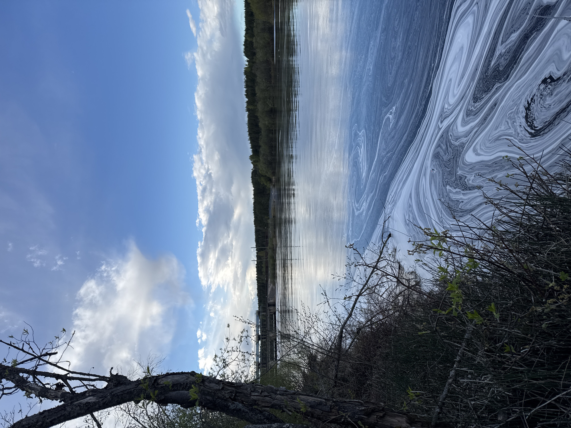The image depicts a waterscape under a partly cloudy sky. The water surface shows a swirling pattern of light and dark colors, possibly indicating the presence of foam or a film on the water. In the background, a line of trees is visible along the horizon. In the foreground, a rough, weathered log lies among low-lying vegetation. A structure, potentially a bridge or dam, appears partially obscured by the vegetation. The image is rotated 90 degrees clockwise. The location is reported as Малая Рукавицкая, Russia.