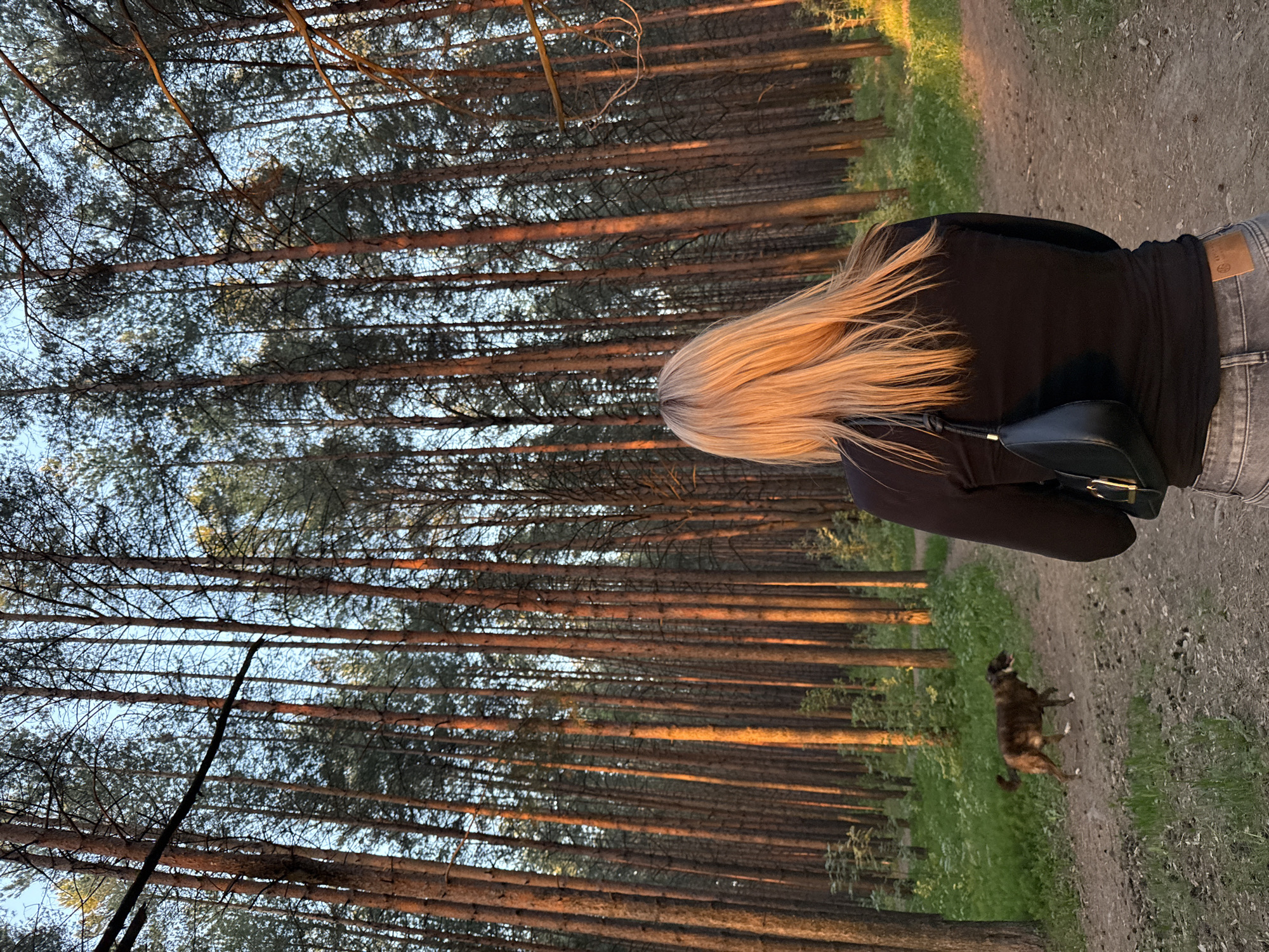 A vertically oriented photo depicts a person with blonde hair, dressed in a black shirt and grey jeans with a black purse, standing on a dirt path in a forest. A brown and black dog is to the right of the path, closer to the camera. The forest contains tall, thin trees that run parallel to each other. The light of the sunset highlights the tree trunks and the person's hair. The location is Chaikovsky, Russia.