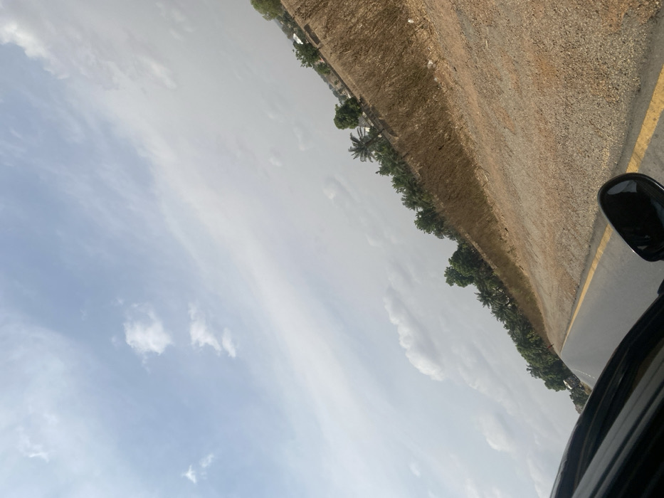 The scene, located in Mayo, Nigeria, is a roadside view captured from a moving vehicle. The lower left quadrant of the image shows a portion of a dark-colored vehicle, including its side mirror. The paved road, visible from the bottom center extending into the mid-distance on an upward incline, features a solid double yellow line marking its edge. To the right of the road, the immediate shoulder consists of dry, reddish-brown soil, transitioning into a strip of tall, desiccated brown grass and sparse low-lying vegetation. Beyond this dry vegetation, a line of green trees, including several palm trees, runs parallel to the road. Further in the background, faint structures or buildings are partially visible among the distant trees. The sky occupies the upper two-thirds of the image, displaying a light blue hue with scattered white cumulus and wispy cirrus clouds. No individuals or specific interactions are discernible in the frame.