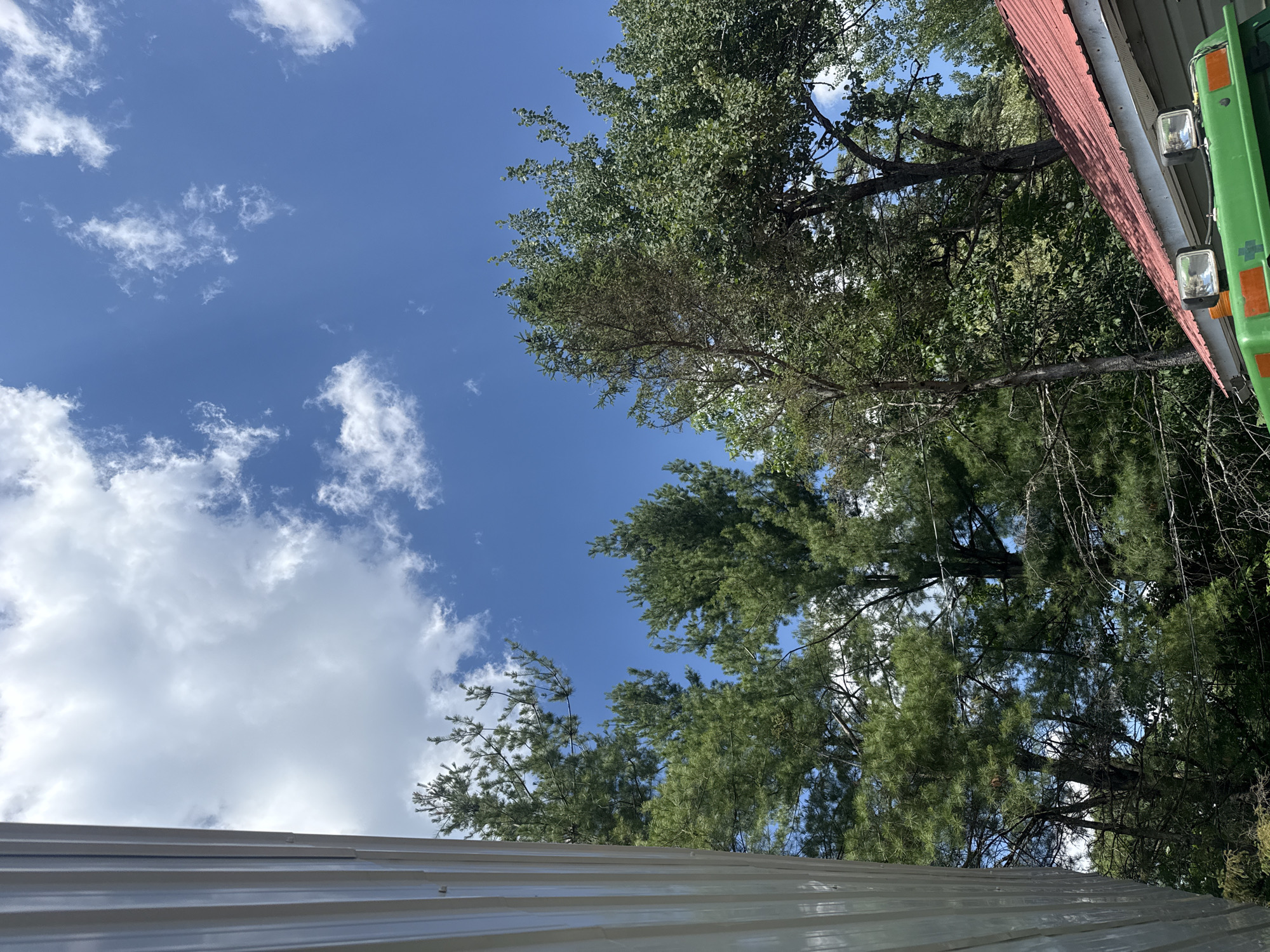 A low-angle outdoor shot captures a bright, sunny day with a blue sky and scattered white clouds. The scene is dominated by lush green trees, including pine trees with their characteristic needles and other deciduous trees with full canopies. A portion of a white, corrugated metal structure is visible on the left side of the frame, extending vertically upwards. In the lower right corner, the top of a bright red metal roof is visible, and beneath it, the green hood of a vehicle is seen, equipped with two square headlights and orange reflectors. The overall impression is one of a rural or suburban setting with abundant greenery.