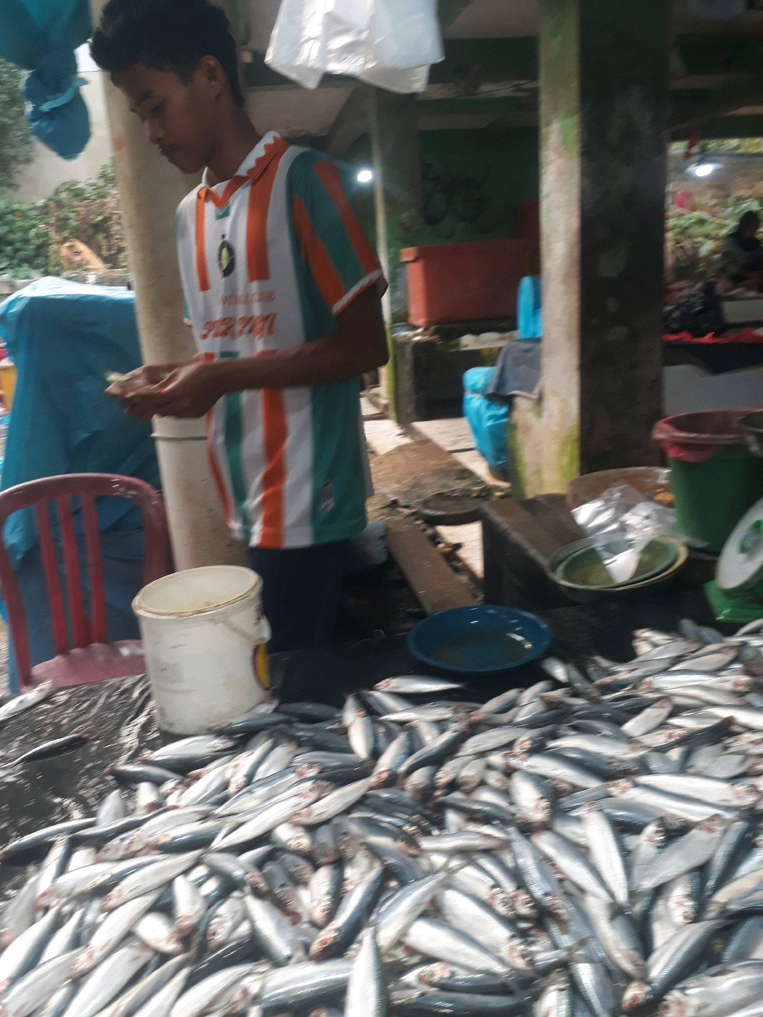 A young boy wearing a striped orange, white, and green polo shirt stands at a fish market stall. He is holding a few small, silver fish in his hands, appearing to be examining them. In front of him, a large pile of fresh, uncleaned fish is spread out on a dark surface. To his left, a red plastic chair and a white bucket are visible. Behind him, a rustic, open-air structure with concrete pillars and a corrugated metal roof suggests a typical Indonesian market setting. The background shows more stalls and greenery, indicating an outdoor environment. The scene captures a moment of commerce and daily life in a local Indonesian marketplace.