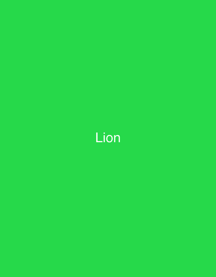 The image displays the word "Lion" centered horizontally and vertically against a vibrant green background. There are no people, animals, or objects present. The scene is devoid of any environmental context, including any specific location within Casablanca, Morocco.