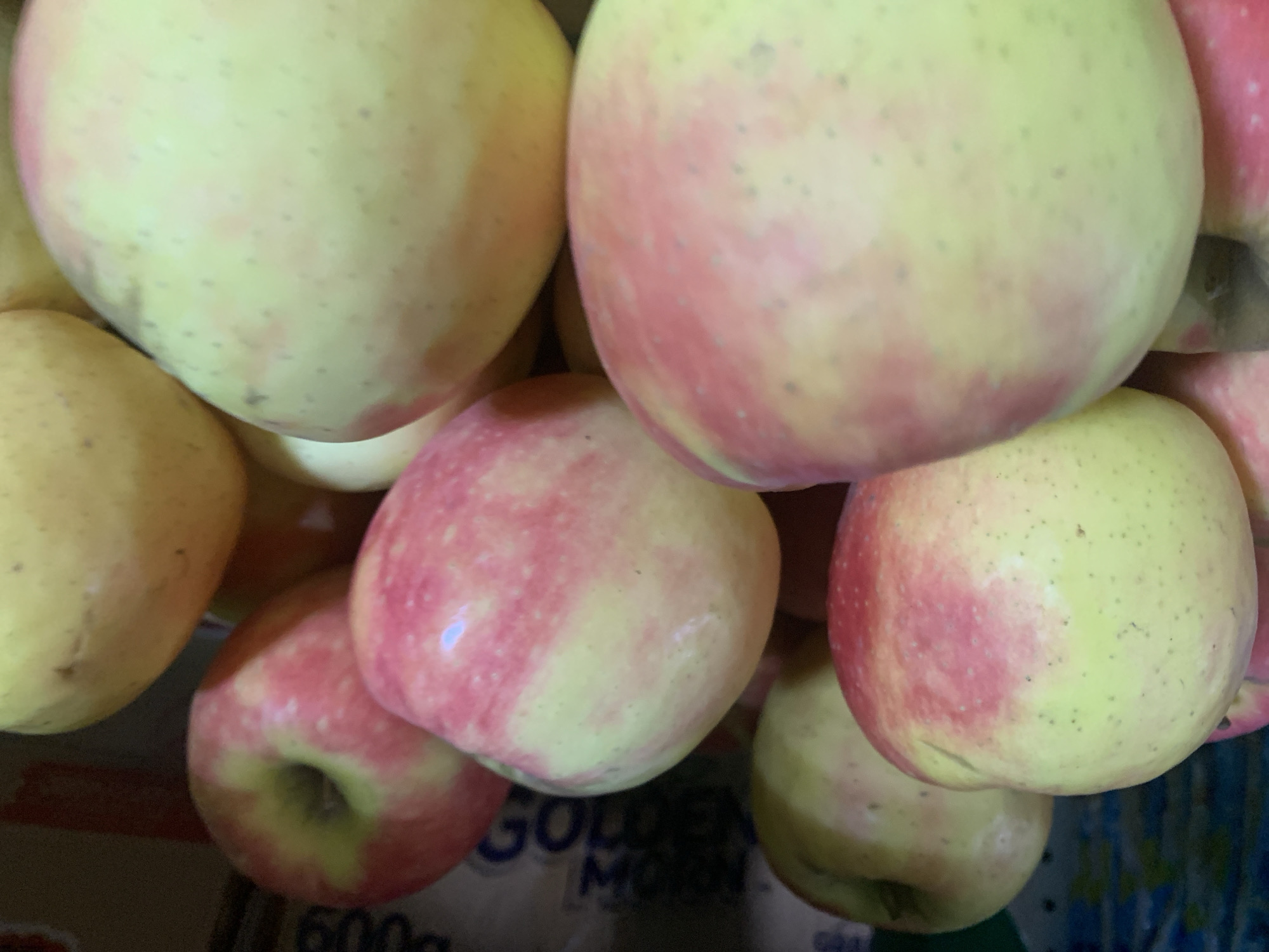 A close-up, overhead shot shows a pile of apples. The apples are predominantly yellow with blushings of pink and red. They appear fresh and are arranged in a natural, somewhat haphazard fashion. In the blurred background, a cardboard box with some writing on it is visible, suggesting the apples may be in storage or a market setting. The lighting is dim and artificial, casting shadows and creating a slightly grainy texture throughout the image. There are no people or specific landmarks visible.
