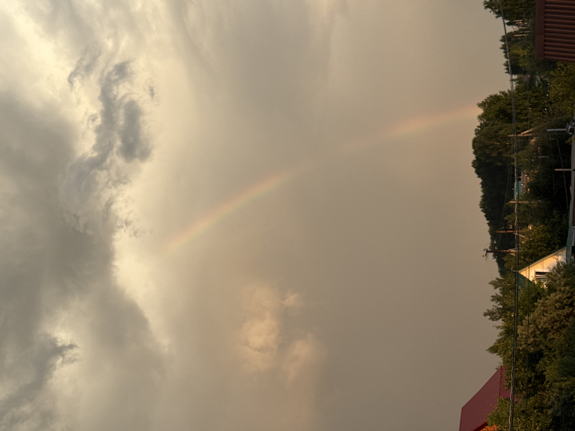 A faint rainbow arcs across a hazy, overcast sky above a village or rural area. The sky is a mottled blend of grays and pale yellows, with darker clouds in the upper portion and lighter, diffused light below. The rainbow is most visible in the upper half of the image, appearing as a soft, pastel spectrum.
Below the sky, a dense line of green trees forms a horizon. Peeking through the trees are the roofs of several houses. On the left, a house with a bright red, angular roof is partially visible. Towards the center, a smaller white house with a pointed roof and a window is nestled amongst the foliage. Further to the right, there are more trees and what appear to be utility poles. The overall impression is of a serene, rural landscape under a dramatic sky.