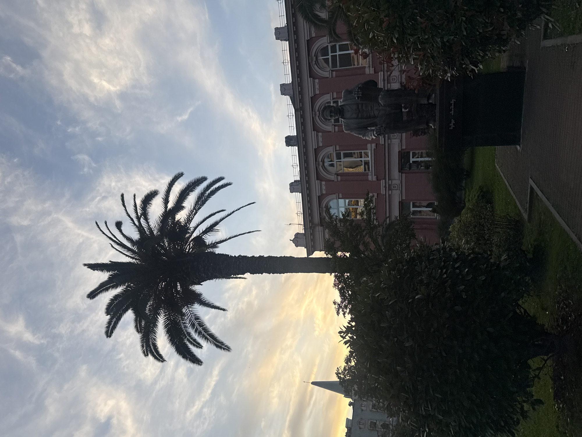 The image depicts an outdoor scene in Batumi, Georgia, during late afternoon or early evening, characterized by a backlit sunset. The sky, filled with wispy cirrus clouds, transitions from a pale blue at the top and right to a warm yellow and orange glow on the left horizon. A tall, dark-silhouetted palm tree stands prominently in the left-center of the frame.
To the far left, a grey, conical church spire topped with a cross is visible against the sunset. In the background on the right, a distinctive reddish-pink building with multiple arched, white-framed windows and decorative roofline elements is present. In front of this building, situated in the lower-right quadrant, is a dark bronze statue of a seated male figure on a dark, rectangular pedestal. The pedestal features text inscribed in Georgian script.
The foreground and mid-ground are densely populated with dark green foliage, including various bushes and smaller trees, which partially obscure the base of the palm tree and the lower sections of the buildings. A curved brick pathway extends through the lower foreground, leading towards the statue. The scene is illuminated by the low sun, creating strong backlighting and casting many elements into silhouette or deep shadow.