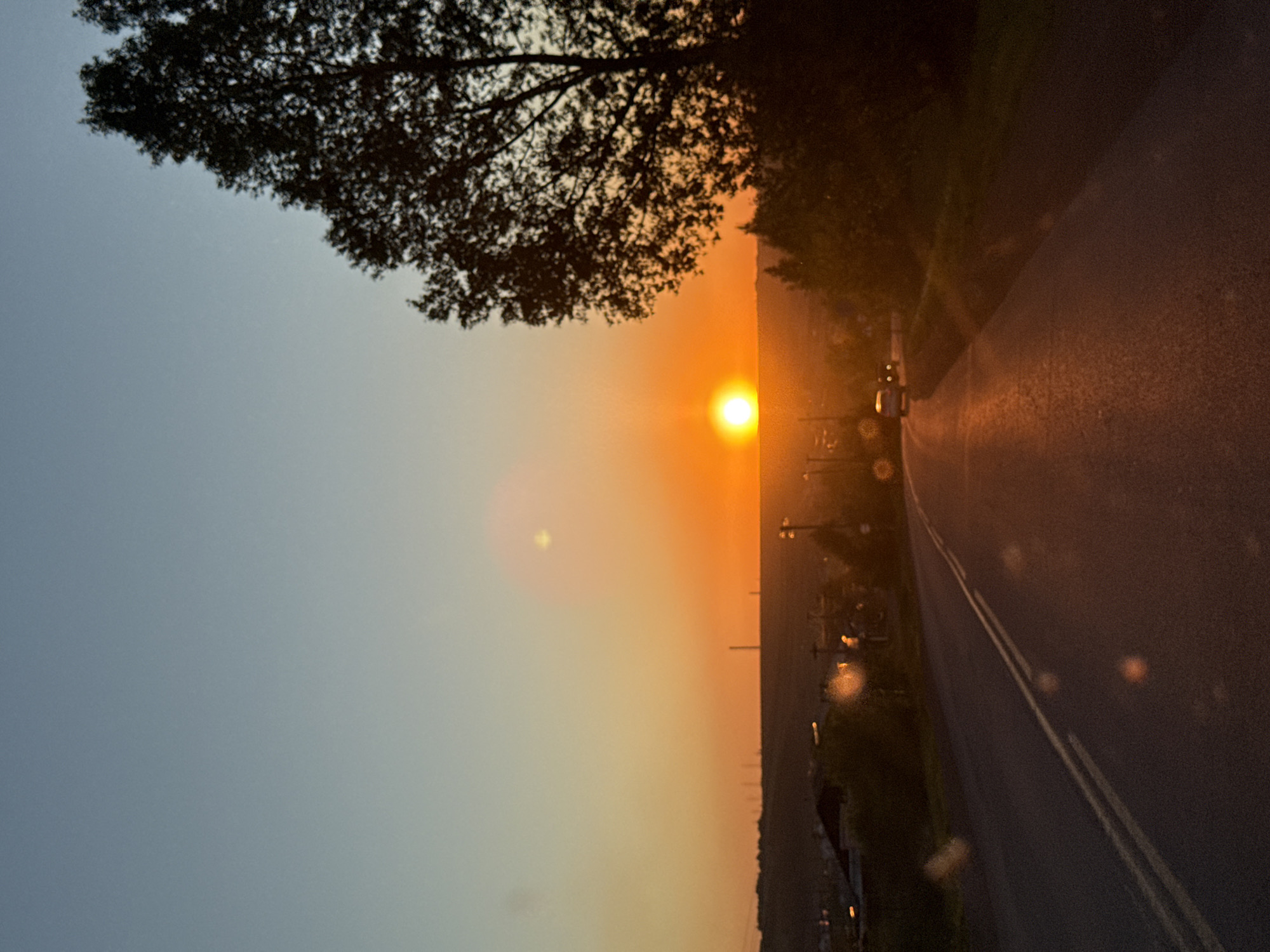 The image depicts a sunset over a rural or semi-rural landscape, viewed from alongside an asphalt road. The sun, a bright and distinct orange-yellow disc, is prominently positioned low on the horizon, dominating the right side of the frame with its intense glow. The sky transitions from a soft blue-grey in the upper left to vivid oranges and yellows surrounding the sun.
A large, dark tree silhouette, with its intricate branches, frames the upper portion of the scene. Along the horizon line, distant land or structures appear as a dark, indistinct band.
On the right side of the image, the asphalt road stretches into the distance, marked by a double solid yellow line. A light-colored vehicle, possibly a car or truck, is faintly visible on the road, driving away from the viewer towards the setting sun. The road surface subtly reflects the warm, golden light.
Notable details include significant lens flare, particularly a bright circular artifact near the sun and several smaller, diffused light anomalies scattered across the image, especially over the road. These flares suggest direct light entering the camera lens. The overall image has a soft focus and a grainy quality, characteristic of low-light photography. The scene captures the tranquil beauty of dusk. No visible text is present in the image. The setting is inferred to be in or around Зыково, Russia.