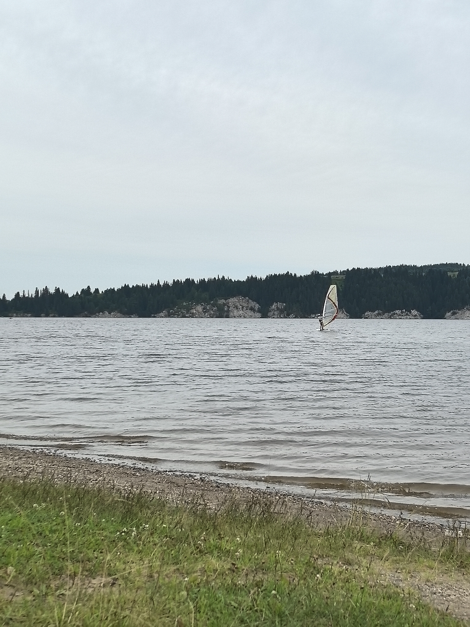 In Polazna, Russia, a person is windsurfing on a body of water under an overcast sky. The windsurfer, positioned in the mid-right of the frame, is standing on a board and holding onto a sail that is predominantly white with red accents. The water is choppy, with ripples indicating wind. In the background, a dense forest borders a rocky shoreline, stretching across the horizon. The foreground features a grassy bank with scattered small white flowers and pebbles leading down to the water's edge.