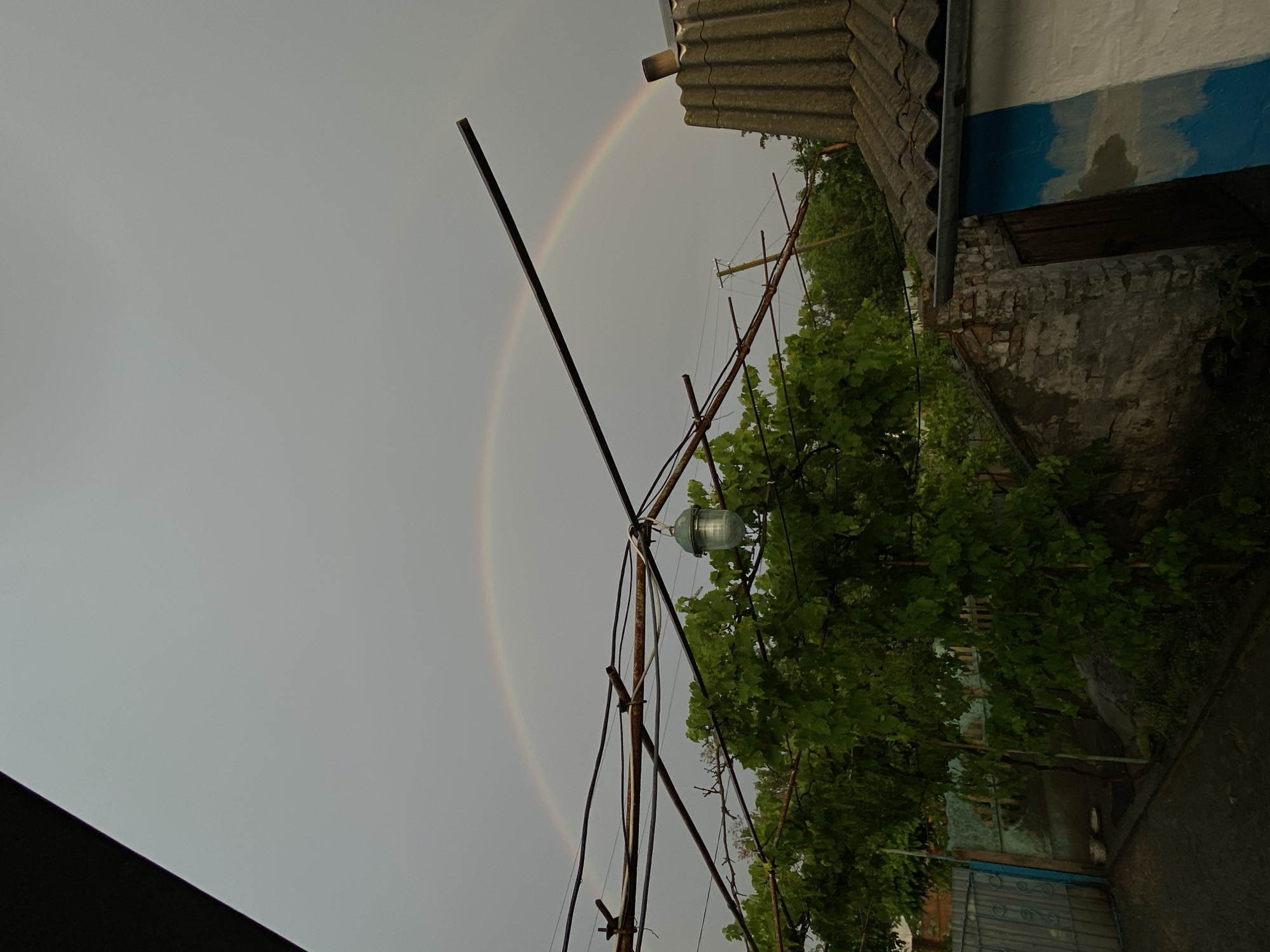 The image depicts an outdoor scene under a cloudy sky with a visible rainbow. In the foreground, a vine-covered trellis with several metal poles and wires obstructs the view of a gray, corrugated roof of a structure. A glass lamp hangs from one of the wires. To the left, a blue metal gate is partially visible, with a green fence behind it. The middle ground shows a small, rustic stone building with a wooden door. The background consists of lush green trees and the continuation of the cloudy sky, with a secondary, fainter rainbow visible. The lighting suggests it is daytime, likely after or during a rain shower.