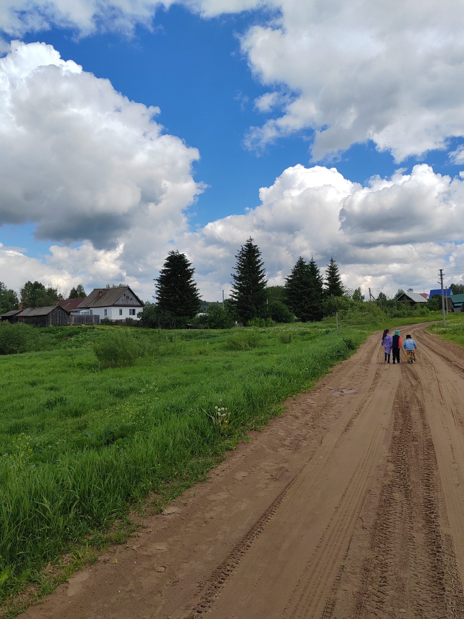 Three children are walking down a dirt road in Уральское, Russia. The road has tire tracks. To the left of the road is a grassy field with some buildings in the distance, including a white house with a gray roof and a dark brown barn. Four tall, green evergreen trees stand behind the field. The sky is blue with large, puffy white clouds.