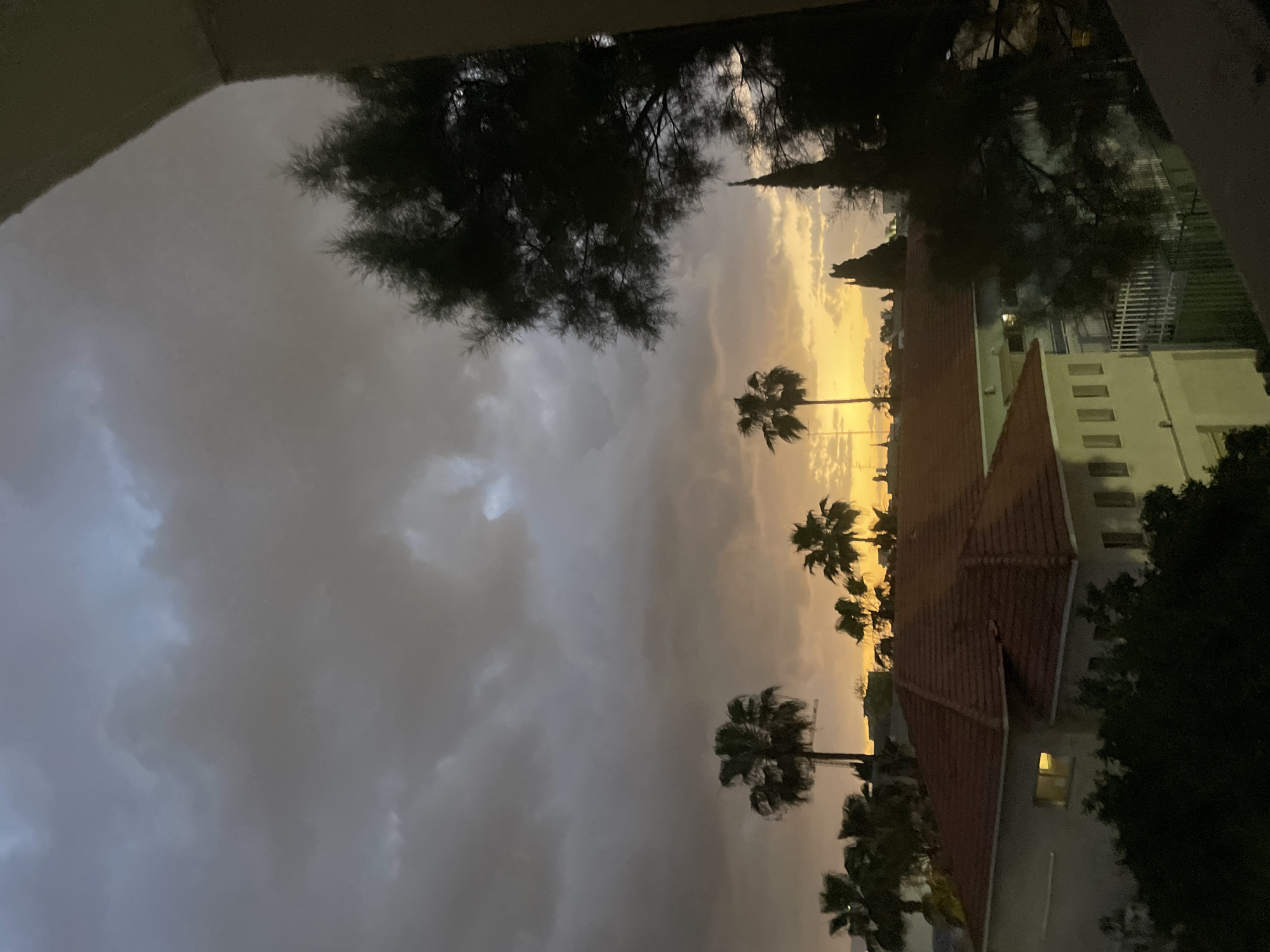 The image depicts an evening scene in Raanana, Israel. Silhouetted palm trees and a building with a red-tiled roof are visible against a sunset-tinged sky. The sky is filled with dark, overcast clouds. A tree with dense foliage partially obscures the view from the left. The scene appears to be viewed from an elevated position, possibly a balcony or upper story of a building. A portion of the architectural structure of the vantage point is visible in the upper left. A building with a red-tiled roof is seen to the right of the palm trees. A lit window is visible.