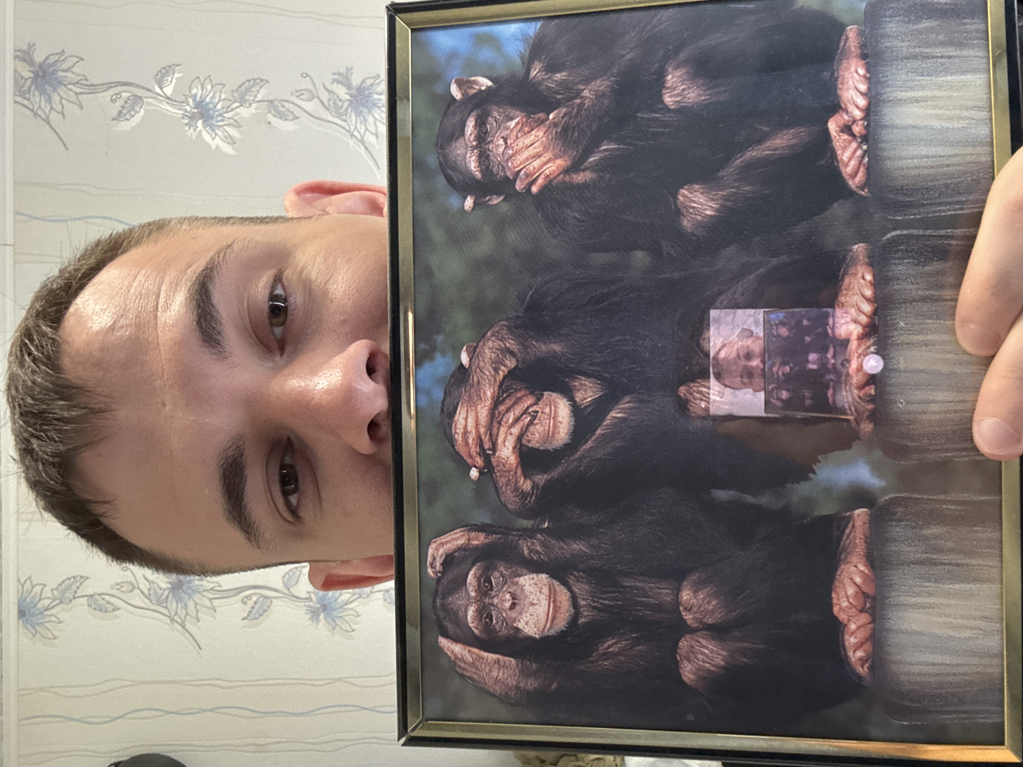 A man is holding a framed picture of three chimpanzees in the "hear no evil, see no evil, speak no evil" pose. The man has short, dark hair, brown eyes, and light skin. He is partially obscured by the picture. The background consists of a light-colored wall with a floral pattern. The location is Chuprino, Russia.