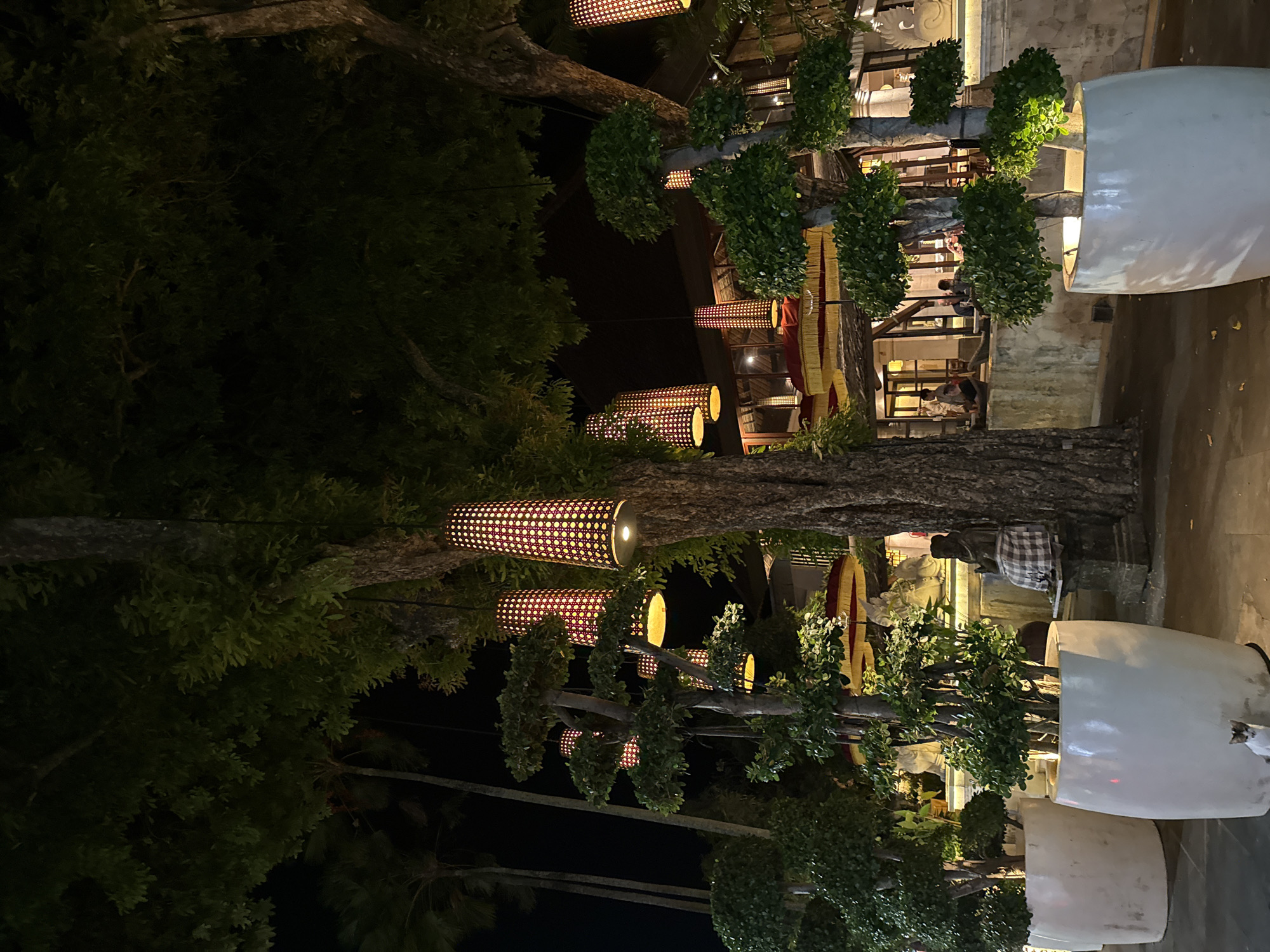 The image depicts a nighttime scene, potentially in Denpasar, Indonesia. It features a row of trees, with ornate, cylindrical lanterns hanging from their branches. The lanterns cast a warm, patterned light. Behind the trees is a building with multiple levels and several people can be seen inside. The trees are planted in large, white pots. There is a statue of a seated figure with a patterned cloth draped around its shoulders.