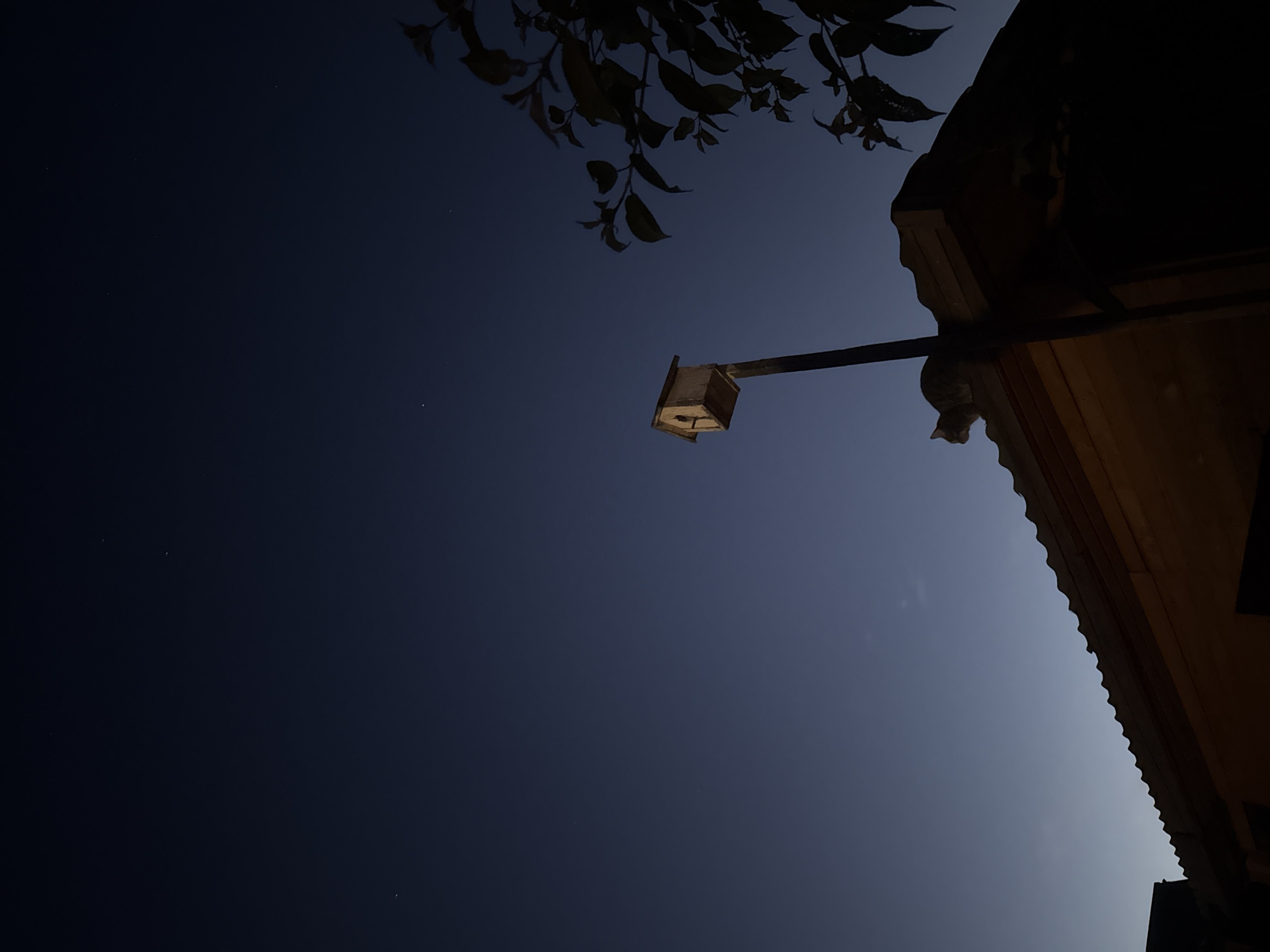 At dusk, a cat is perched on the corrugated roof of a building in the SNT Avtomobilist-1, Russia. To the right of the cat, a pole extends upwards, topped with a small wooden birdhouse. In the upper right corner of the frame, the dark silhouette of tree branches with leaves is visible against the deep blue twilight sky. Faint stars are scattered across the darkening sky. The overall scene is dimly lit, suggesting the transition from day to night.