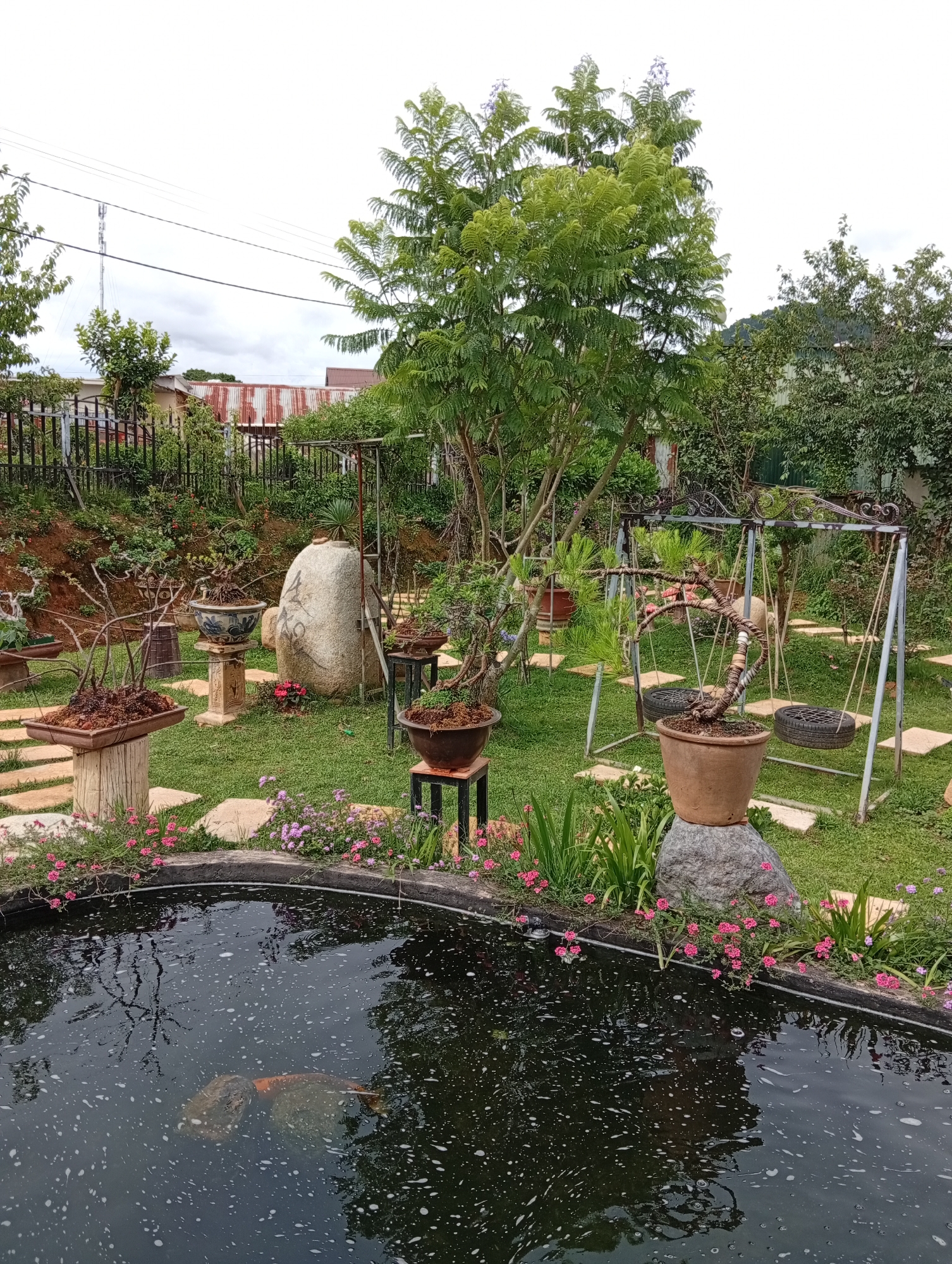 The photograph depicts a garden in Lạc Dương, Vietnam. A dark, circular pond occupies the foreground, lined with pink flowers and green foliage. Within the pond, a large, orange fish is visible beneath the water's surface, which is covered in a light foam or bubbles.
The garden behind the pond features stepping stones laid out on a grass lawn. Scattered throughout are various potted plants, some elevated on stands. A large, light-colored stone with vertical markings stands out among the greenery. In the background, there's a metal swing set with tire seats, and a backdrop of trees and vegetation. A fence, partially obscured by plants, runs along the upper portion of the scene, beyond which are buildings with rusted roofs and power lines. The sky is overcast.