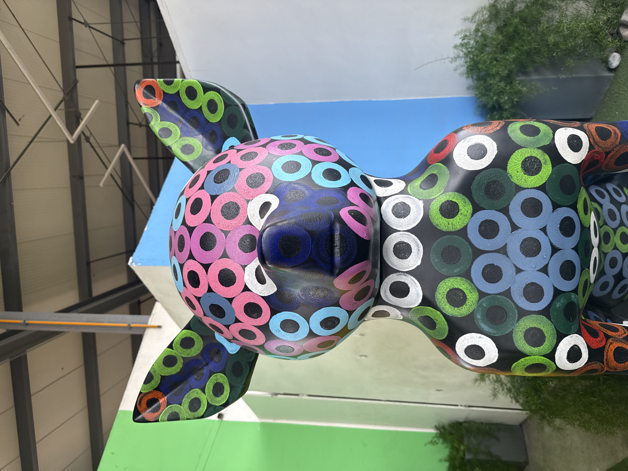 A brightly decorated statue of a xoloitzcuintli dog sits outside in Mexico City, Mexico. The statue is covered in a pattern of colorful circles, including shades of pink, blue, green, and orange, all on a black base. The dog has large ears and a smooth, dark blue face. The statue is situated against a colorful background of blue and green walls, with a planter filled with green plants visible in the upper right corner. Overhead, the gray metal structure of a building is partially visible.
