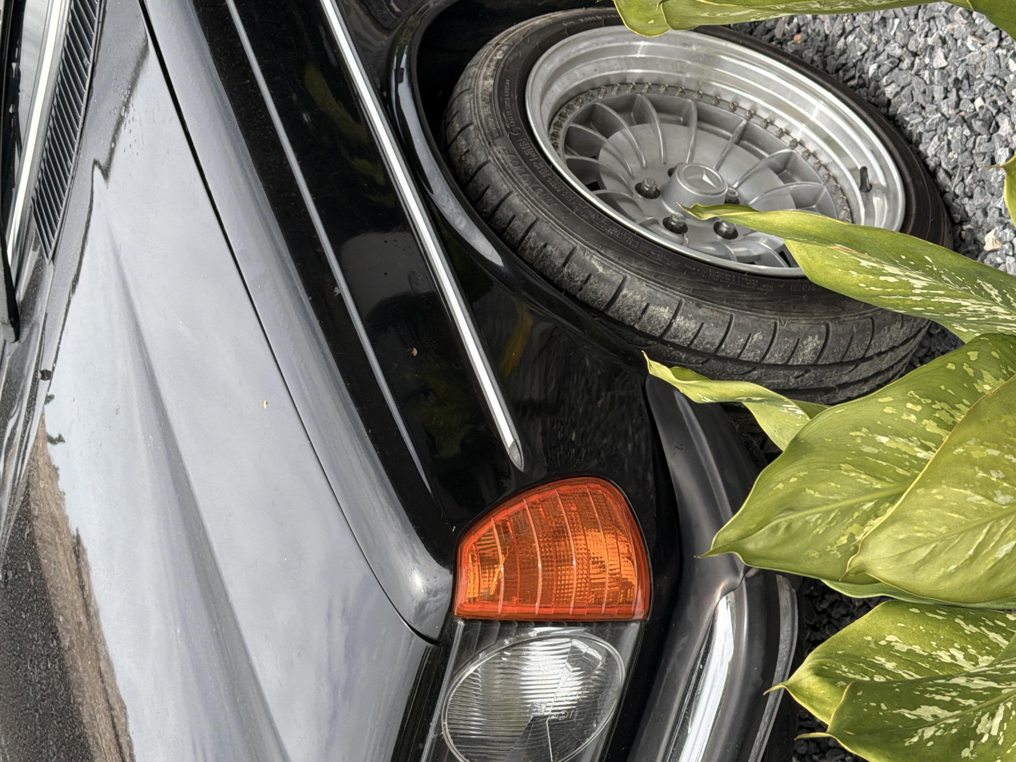 The image shows a close-up, high-angle view of the front fender and wheel of a black Mercedes-Benz sedan parked on a gravel surface, likely in Ko Samui District, Thailand. The car's hood, headlights, and a portion of the grille are visible. The car has a chrome trim strip running along the fender. The front wheel features a silver alloy rim with a Mercedes-Benz logo in the center. A portion of a large green leaf with white variegation is in the foreground, partially obscuring the lower part of the car. The background is out of focus, showing more gravel and a hint of foliage. There are no people or animals present.