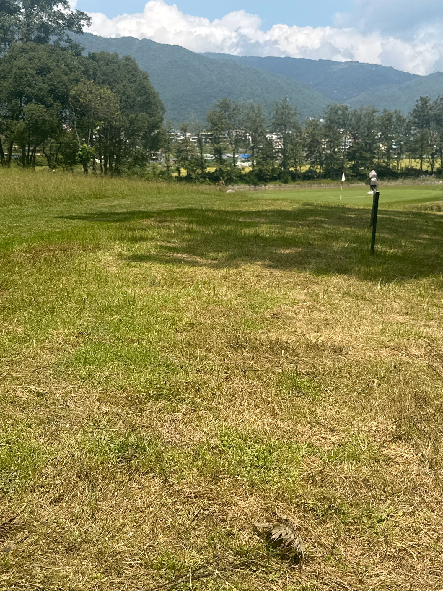 An outdoor, medium-shot image captures a grassy area with a golf course in the background. In the foreground, the grass is a mix of green and dry brown hues, with dappled shadows from overhead trees. A single wooden post stands on the right, topped with a light fixture and a white flag, indicating a golf hole. Beyond this, a neatly manicured green fairway stretches towards a line of trees. In the distance, rolling green hills form a backdrop against a bright blue sky with scattered white clouds. The scene is indicative of a golf course in Gokarneshwar, Nepal, a location known for its natural beauty and recreational facilities, likely during daylight hours given the bright illumination and shadows.