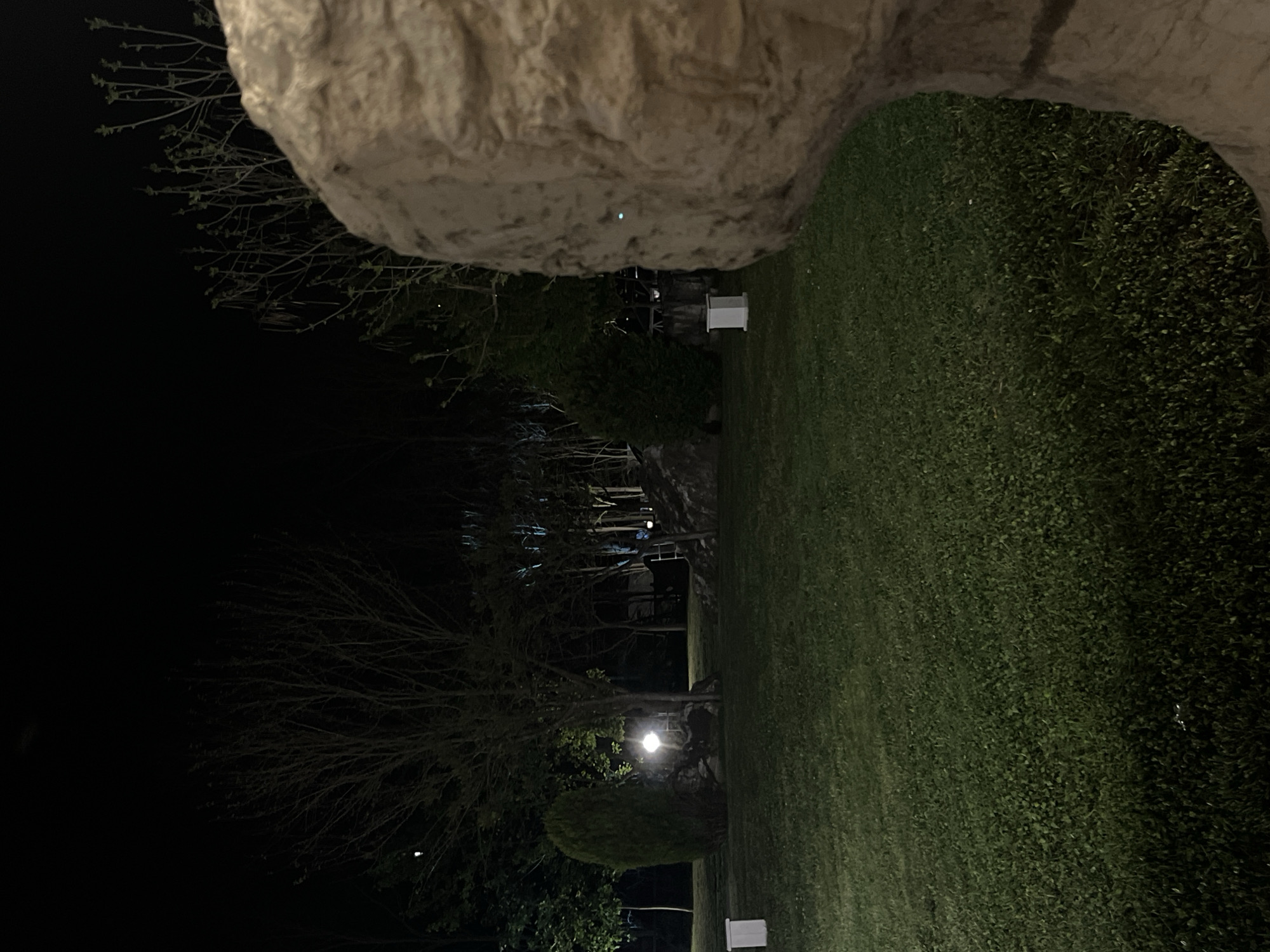 The image shows a night scene in Koprivlen, Bulgaria. A large, light-colored rock or sculpture dominates the upper portion of the frame. Below and to the right of the rock is a green expanse, possibly a lawn or field. A dark area occupies the left side of the image, containing trees with bare branches and some foliage illuminated by a light source. A white rectangular object is visible at the lower center edge of the frame and another is visible near the top of the frame.