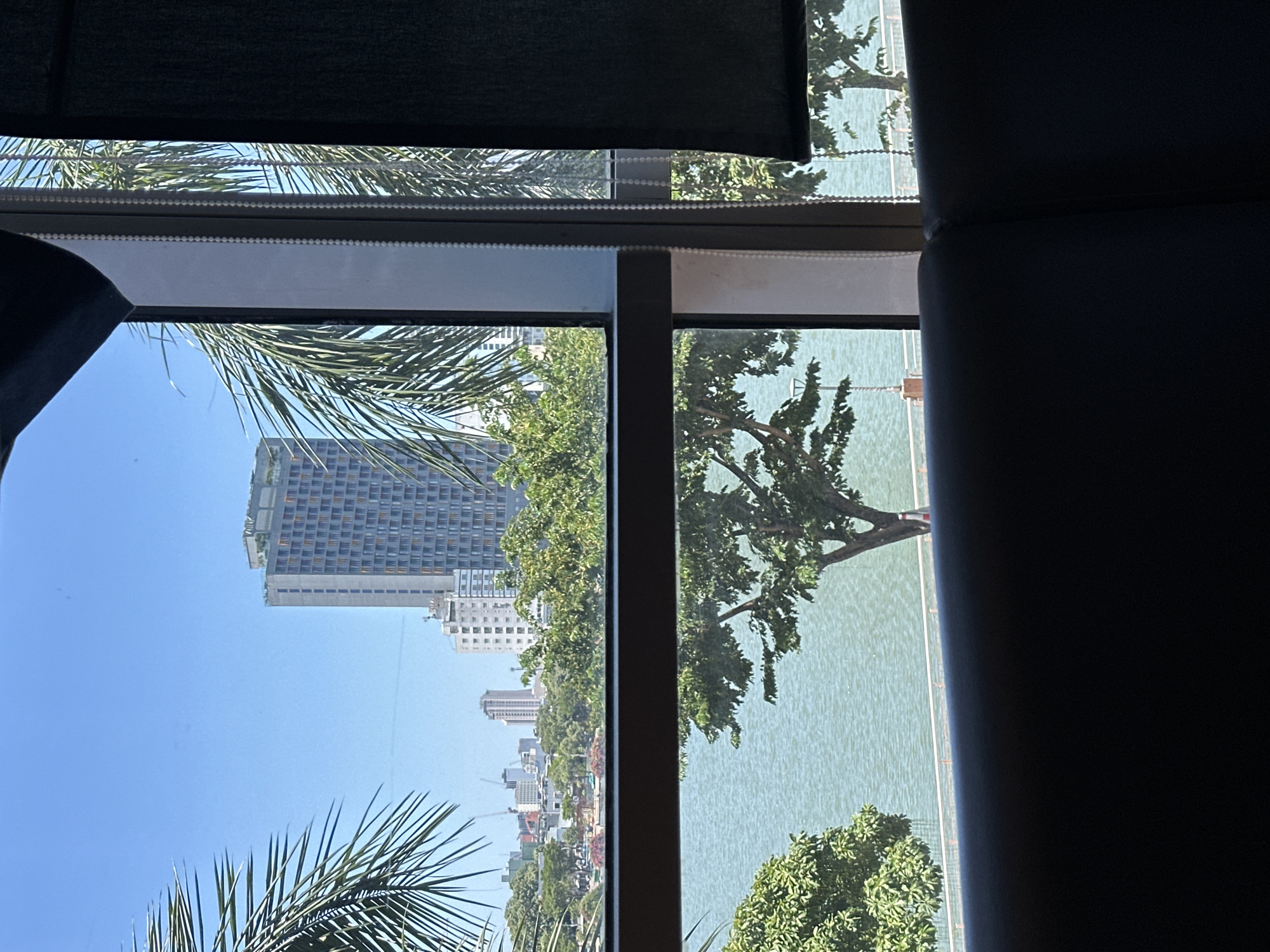 The image shows a view from a window overlooking a body of water, likely the Han River in Da Nang, Vietnam. In the distance, several modern buildings are visible, including a prominent tall, light-colored high-rise with a patterned facade and a rooftop green space. Palm fronds frame the view on the left and right sides, suggesting a tropical or subtropical setting. The water is a calm, light green, with a few trees and a railing lining the bank. In the foreground, a dark, upholstered surface, possibly a sofa or chair, is visible. The scene appears to be taken during the day, with clear blue skies.