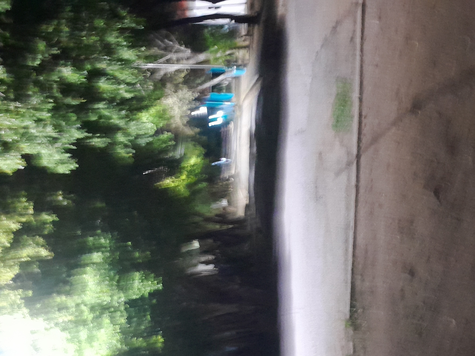 The image depicts a street scene in Santa Ana, Venezuela, characterized by a blurred, impressionistic quality due to motion blur. Tall trees with lush green foliage line the left side of a paved pathway, their branches creating a canopy overhead. The pathway appears to be a road or sidewalk, with some areas appearing lighter and possibly reflective. In the middle ground, several bright blue objects, possibly benches or structures, are visible. A single bicycle is parked on the left side of the pathway. The right side of the image shows more trees and a glimpse of a white building. The overall environment suggests an outdoor public space, possibly a park or a tree-lined street within the city.